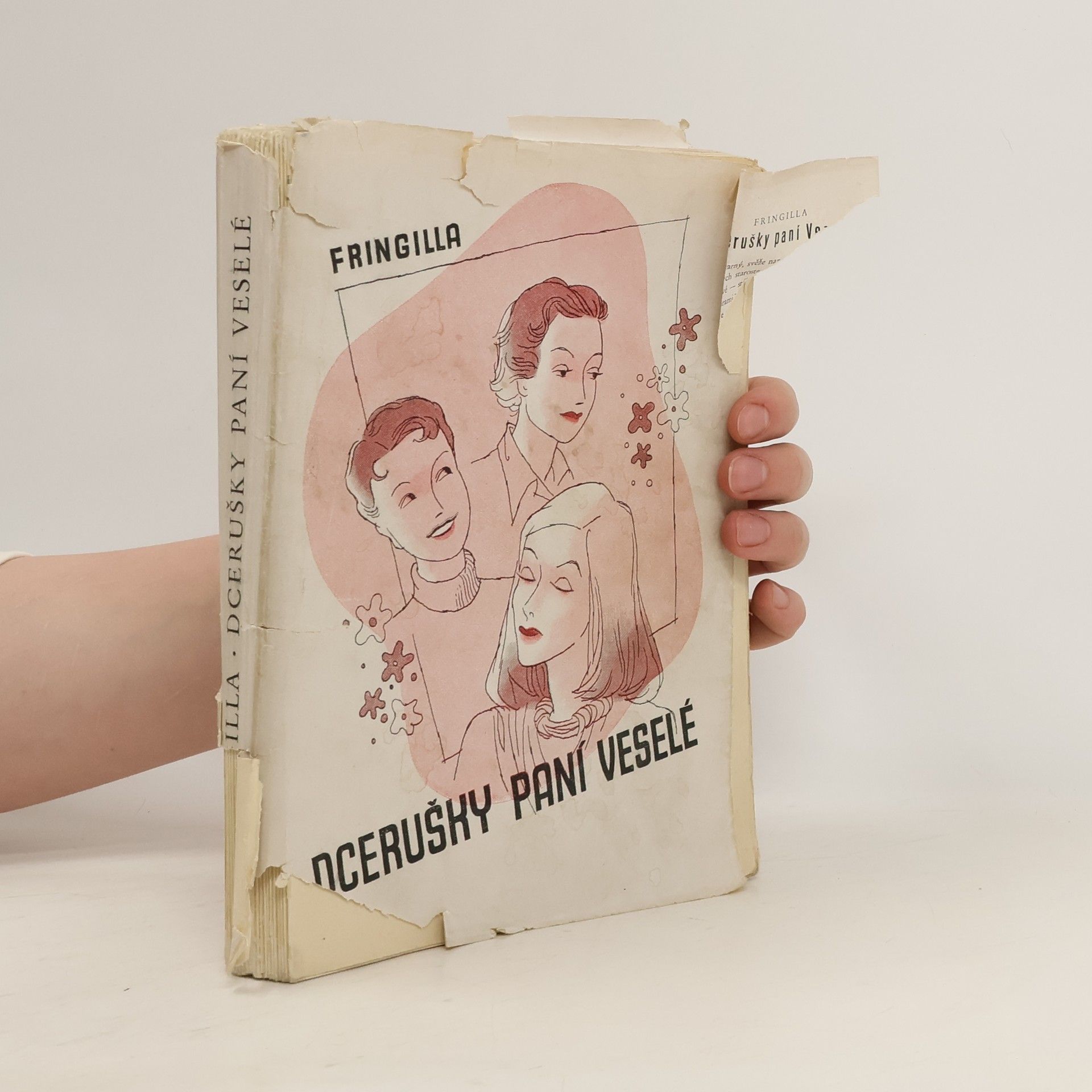Fringilla Dcerušky paní veselé