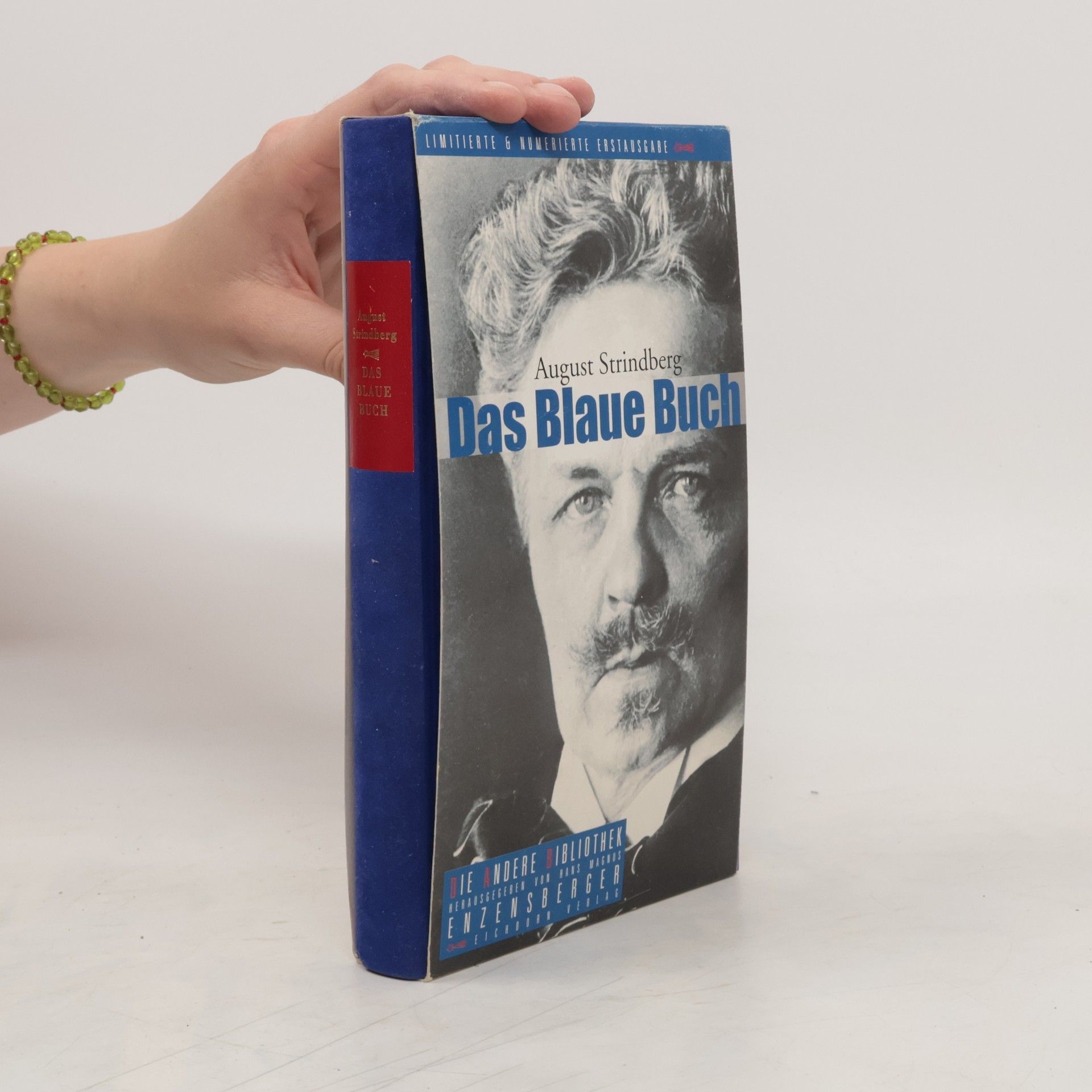 August Strindberg Das blaue Buch. Übergeben an die Zuständigen und zugleich ein Kommentar zu 'Schwarze Fahnen'