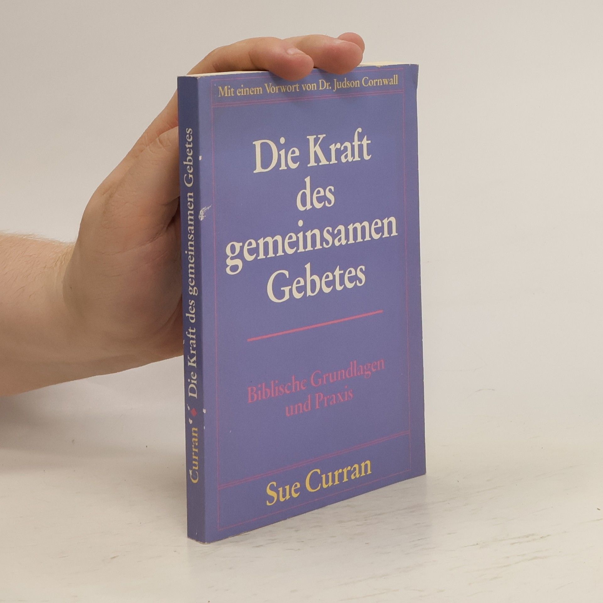 Sue Curran Die Kraft des gemeinsamen Gebetes