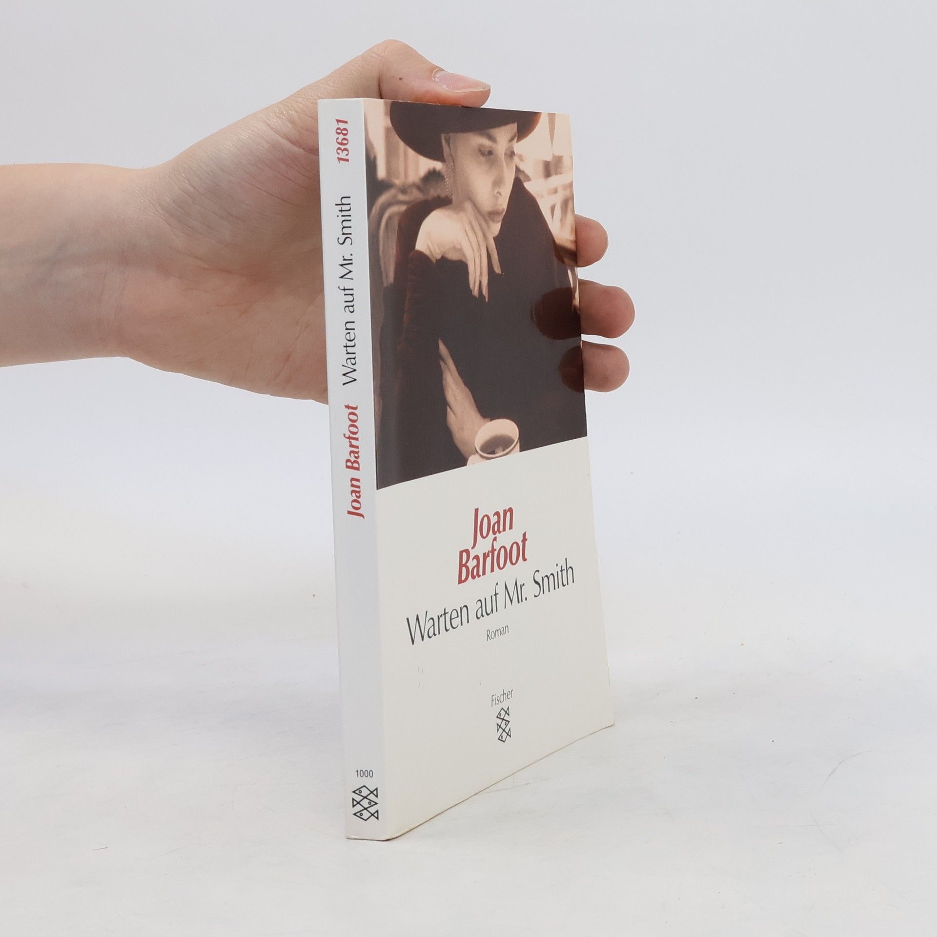 Joan Barfoot Warten auf Mr. Smith