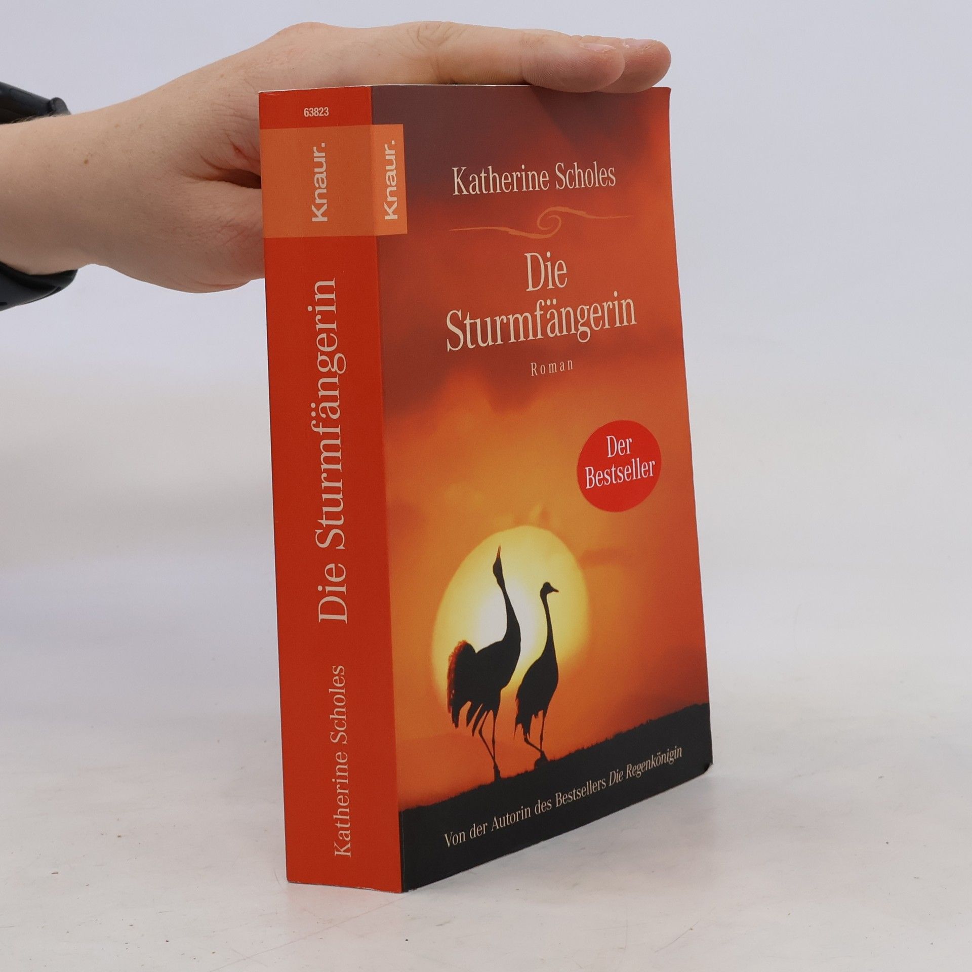 Katherine Scholes Die Sturmfängerin