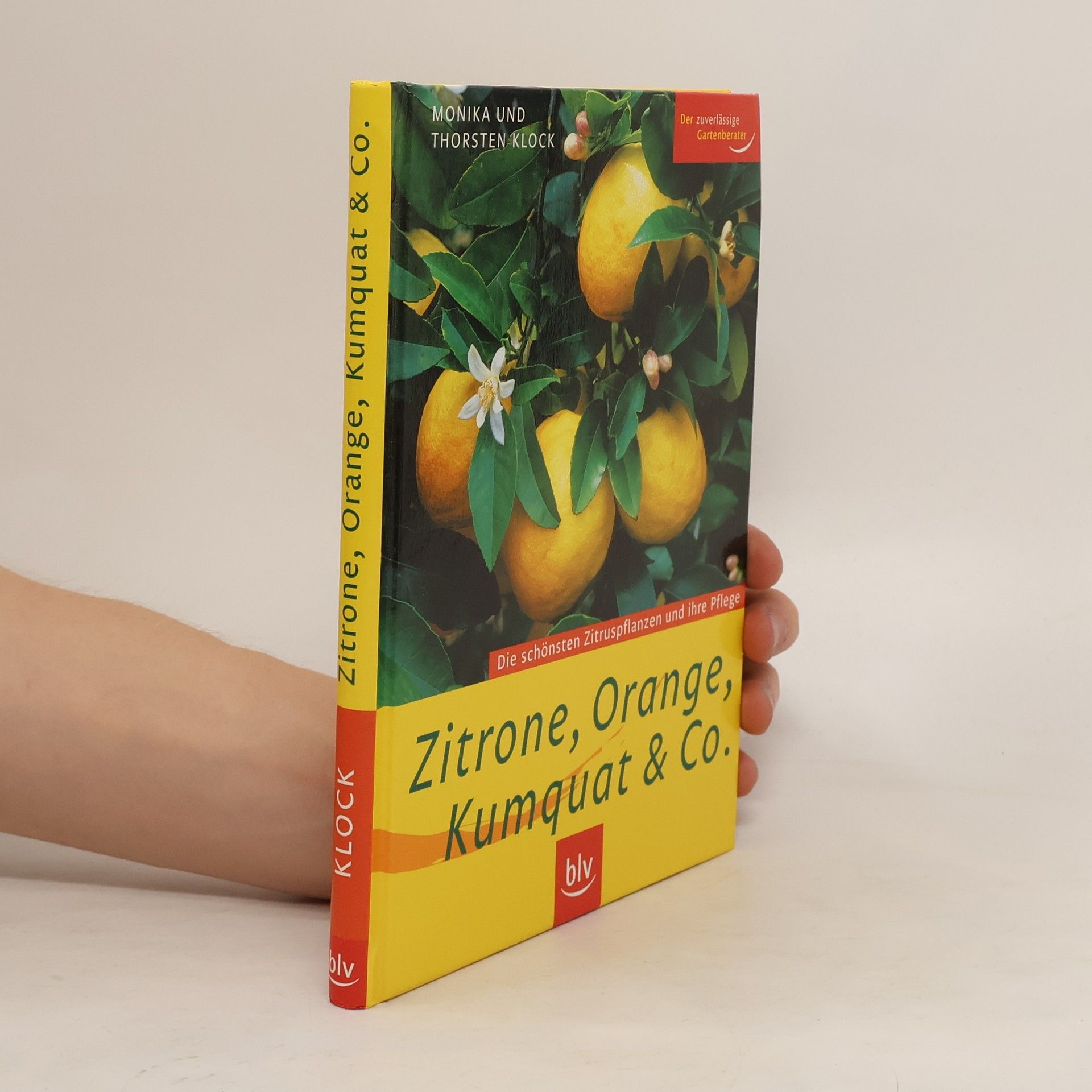 Monika Klock Zitrone, Orange, Kumquat & Co.