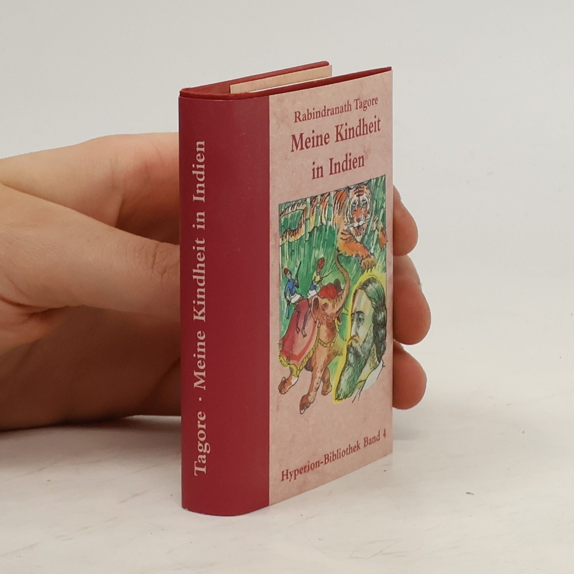 Rabíndranáth Thákur Meine Kindheit in Indien