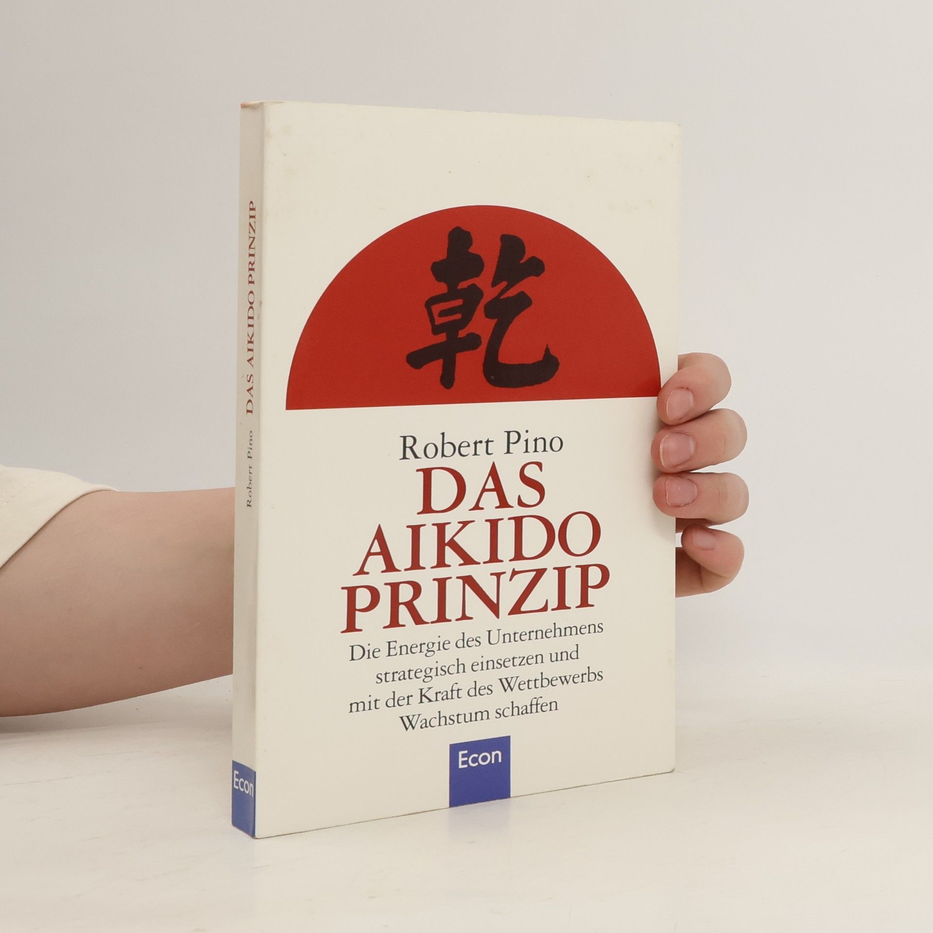 Robert Pino Das Aikido-Prinzip