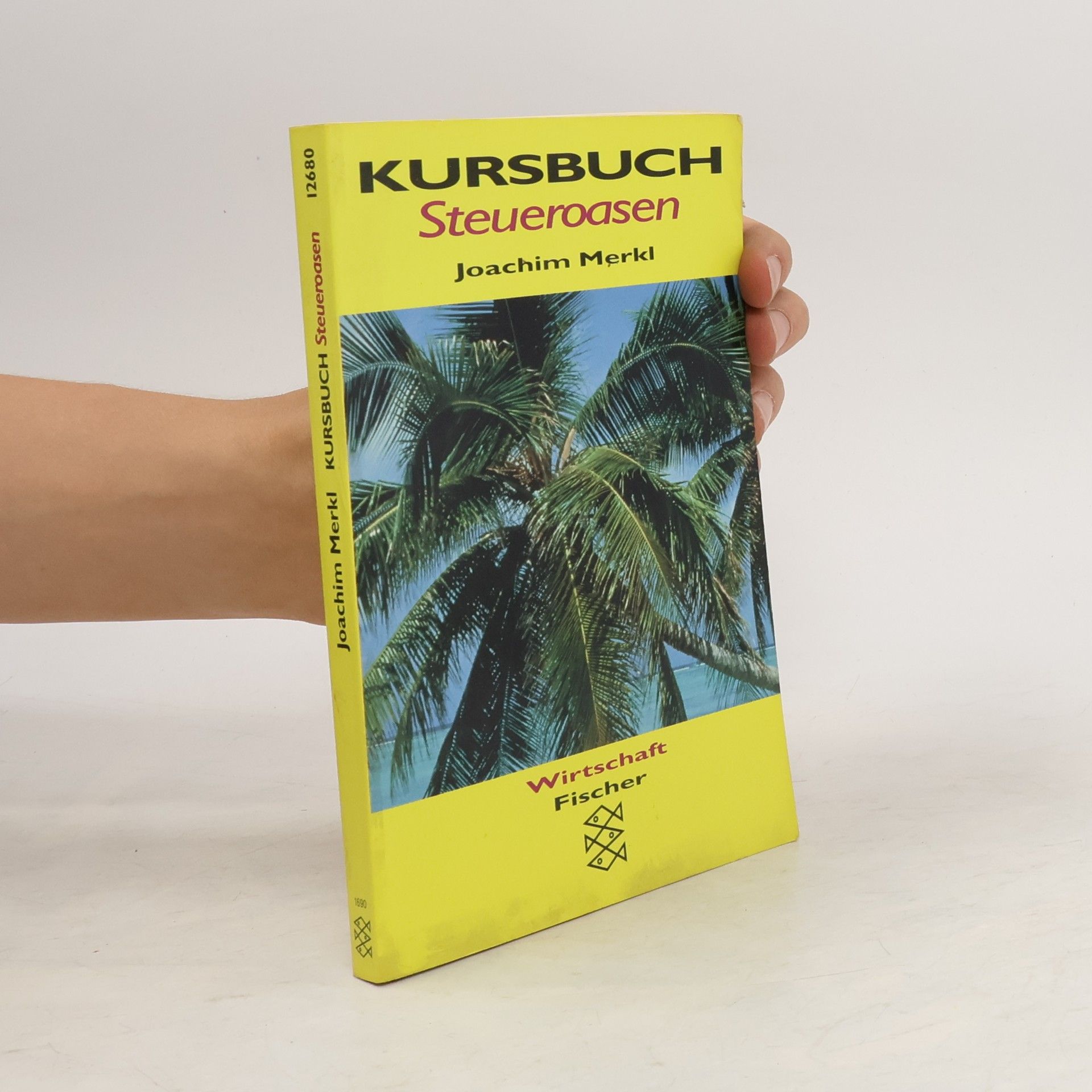 Joachim Merkl Kursbuch Steueroasen