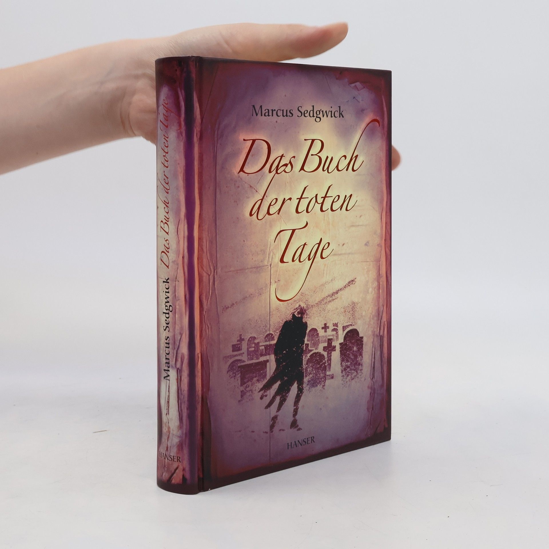 Marcus Sedgwick Das Buch der toten Tage