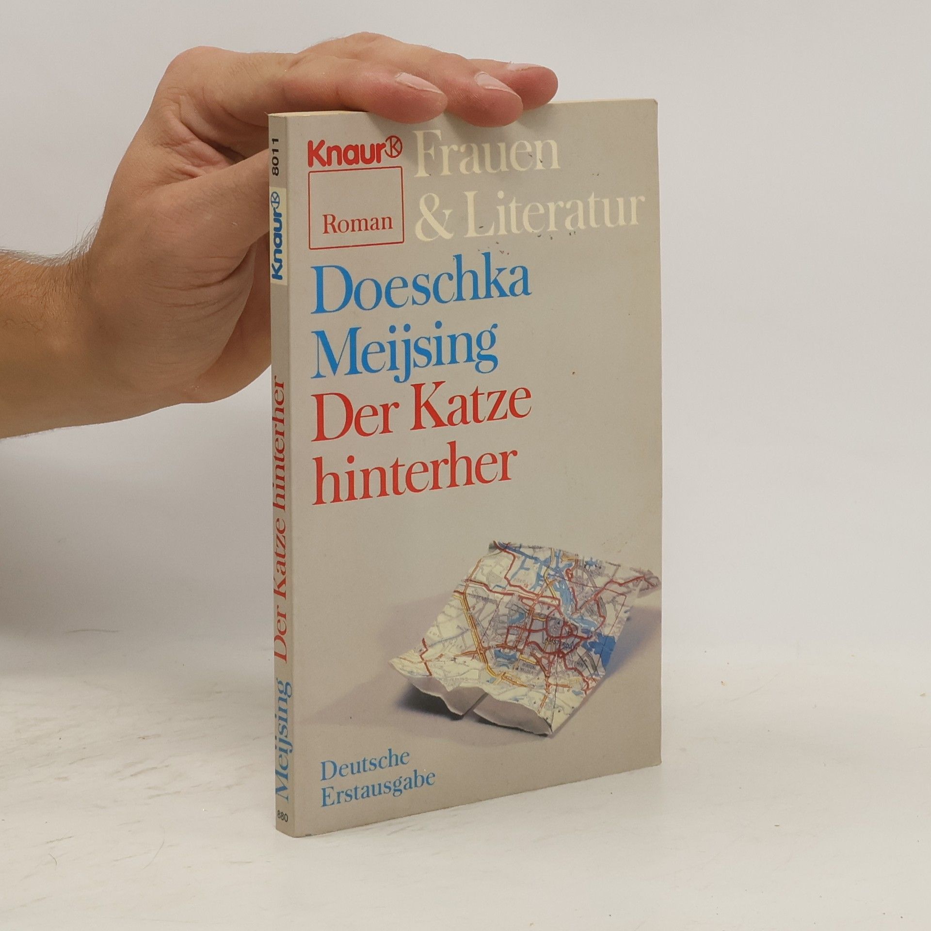 Doeschka Meijsing Der Katze hinterher