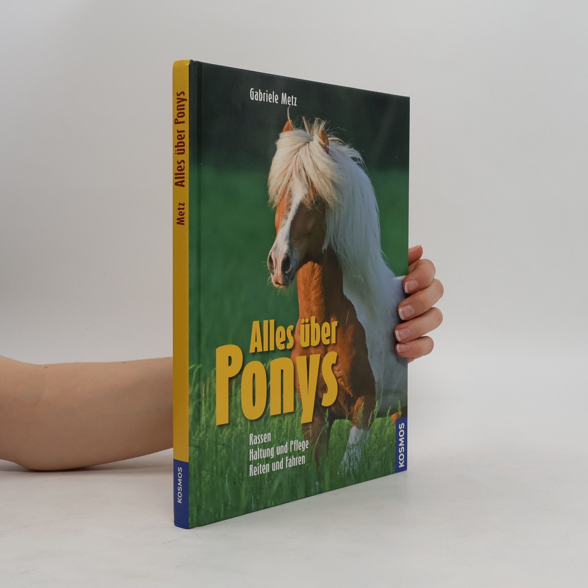 Gabriele Metz Alles über Ponys