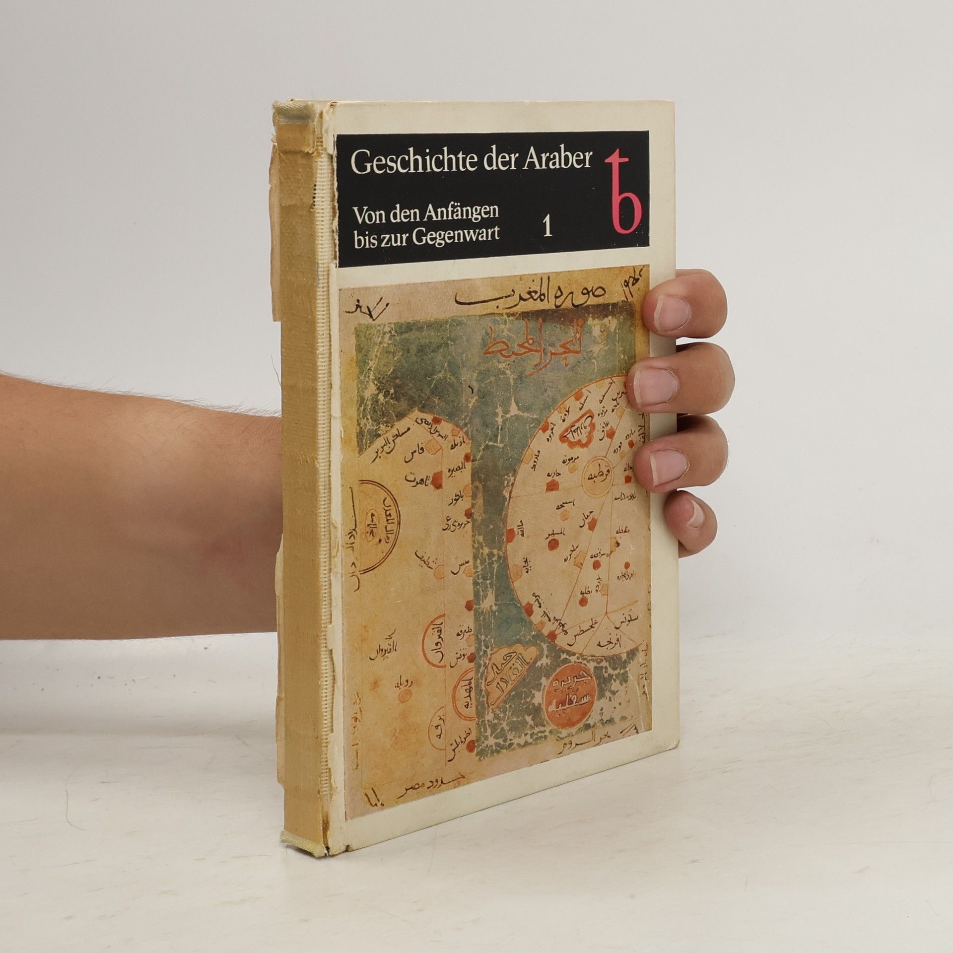 Autores varios Geschichte der Araber 1: Von den Anfängen bis zur Gegenwart