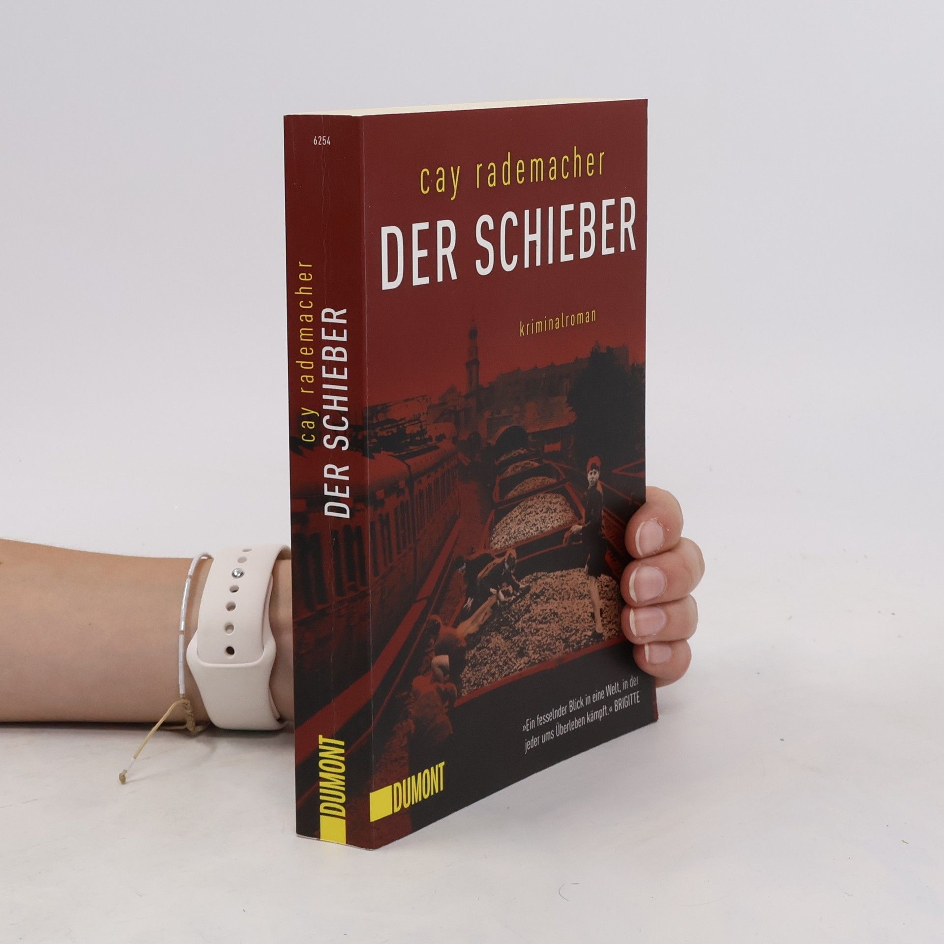Cay Rademacher Der Schieber