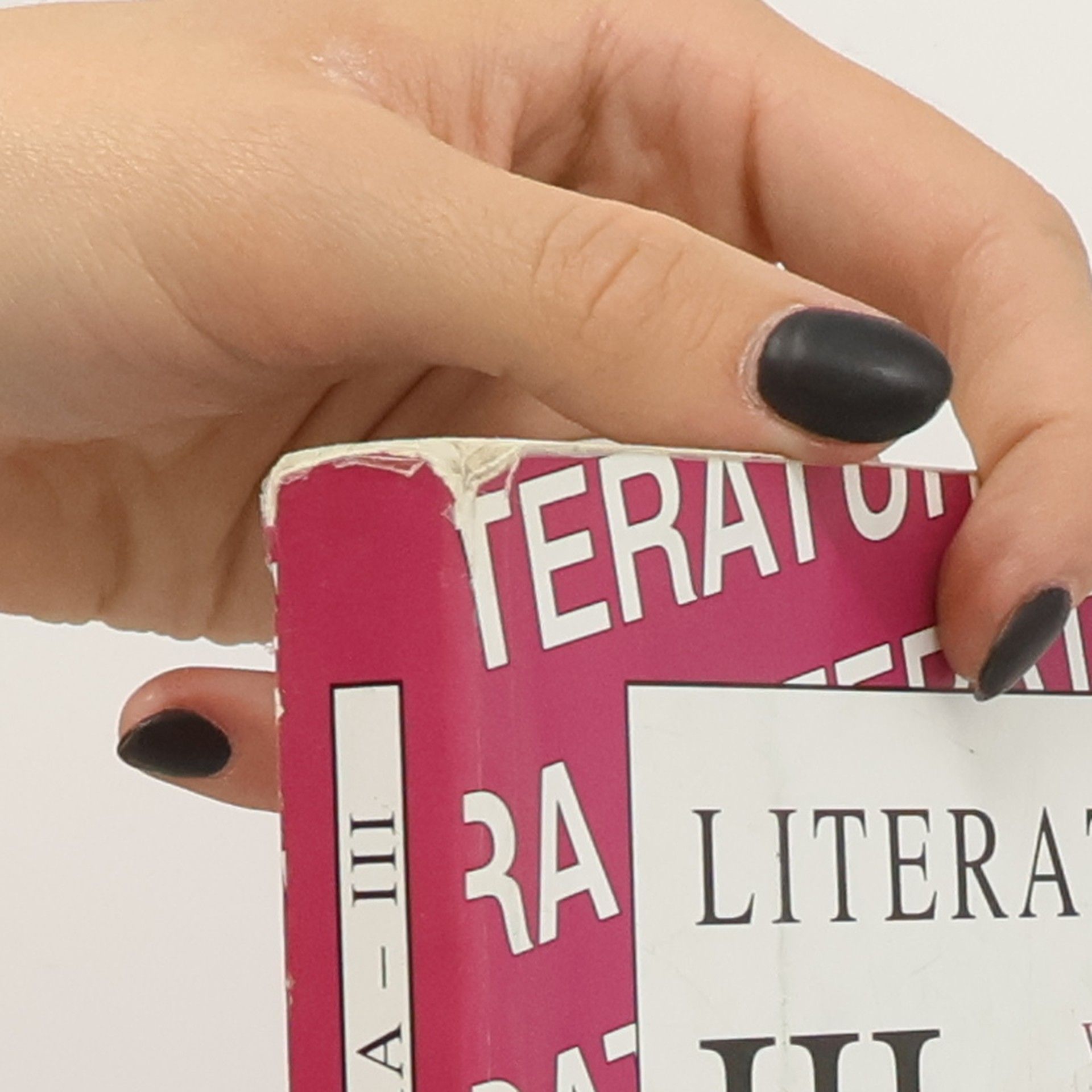 Bohuslav Hoffmann Literatura III - Výbor textů, interpretace, literární teorie