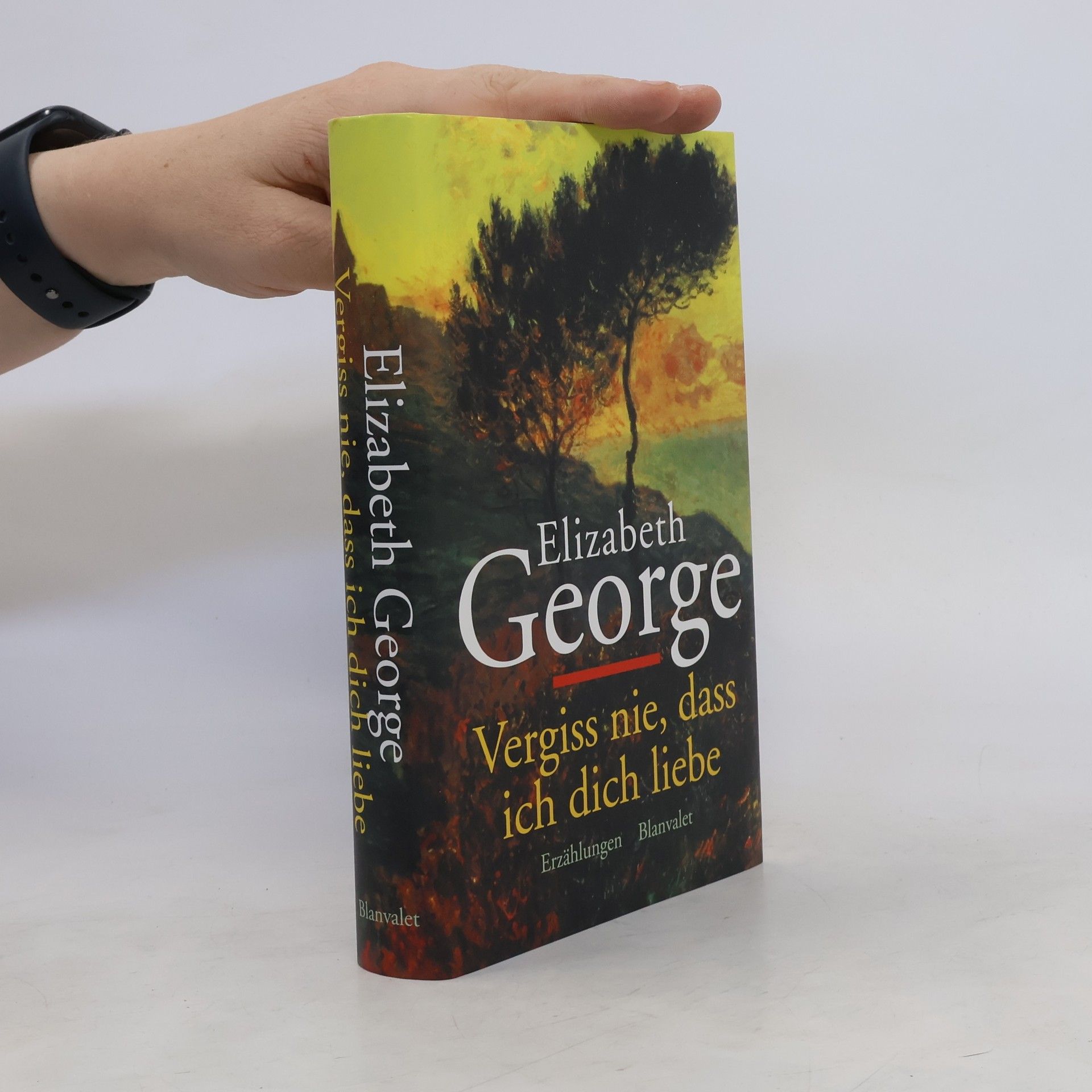 Elizabeth George Vergiss nie, daß ich Dich liebe.