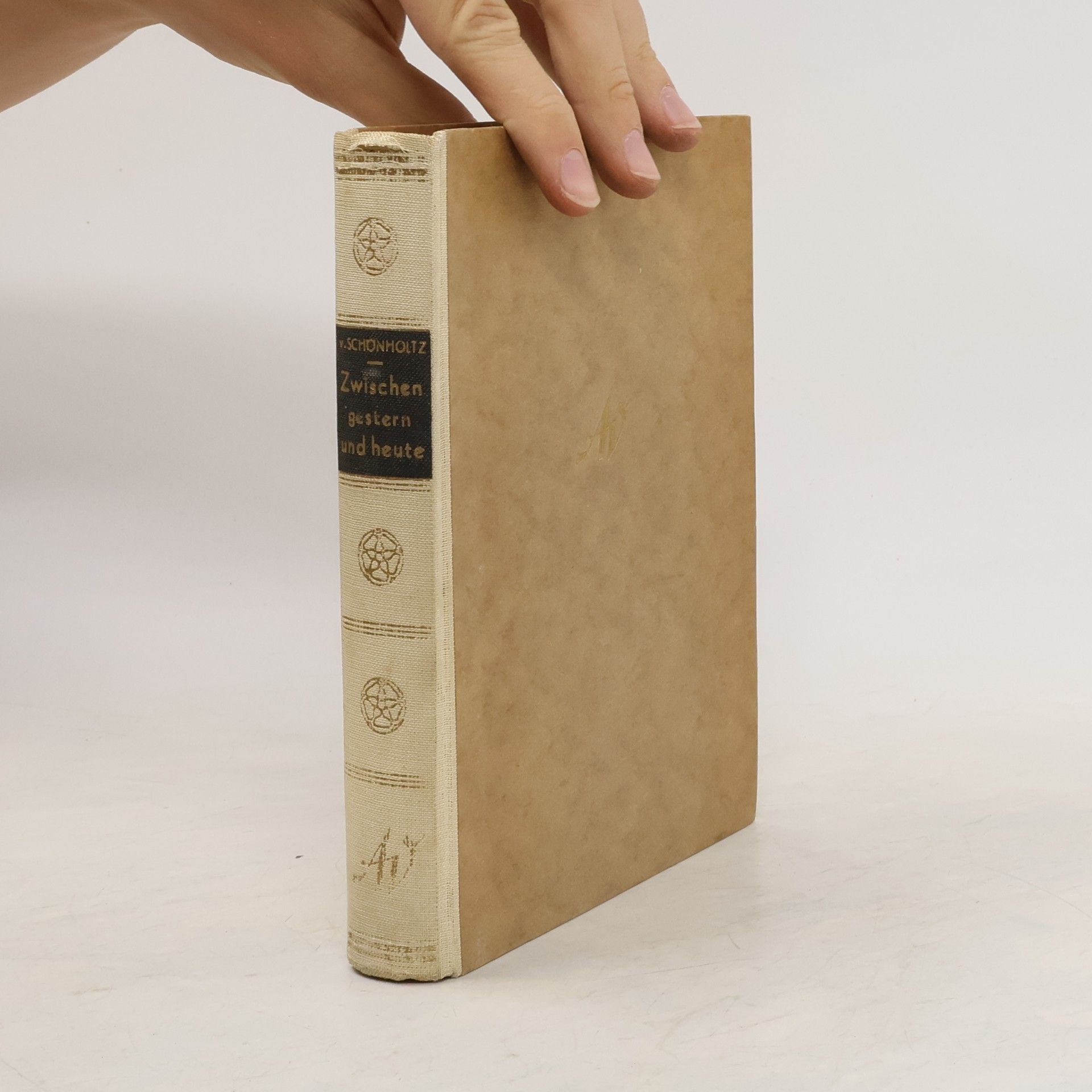 Ernst Hoffmann von Schönholtz Zwischen gestern und heute