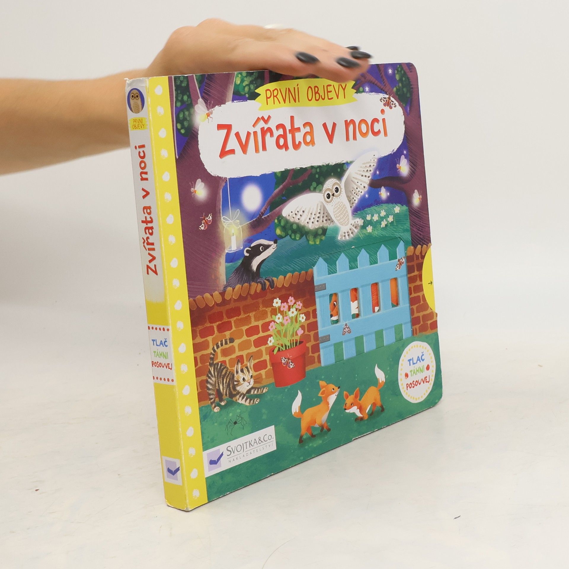 Jenny Wren První objevy: Zvířata v noci