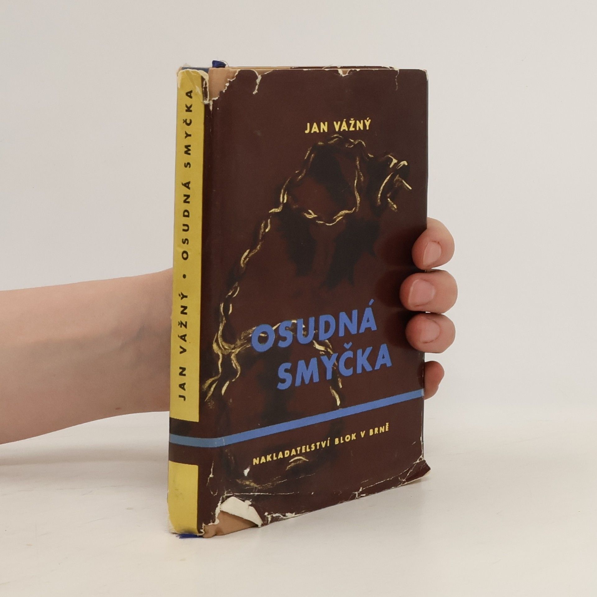 Jan Vážný Osudná smyčka