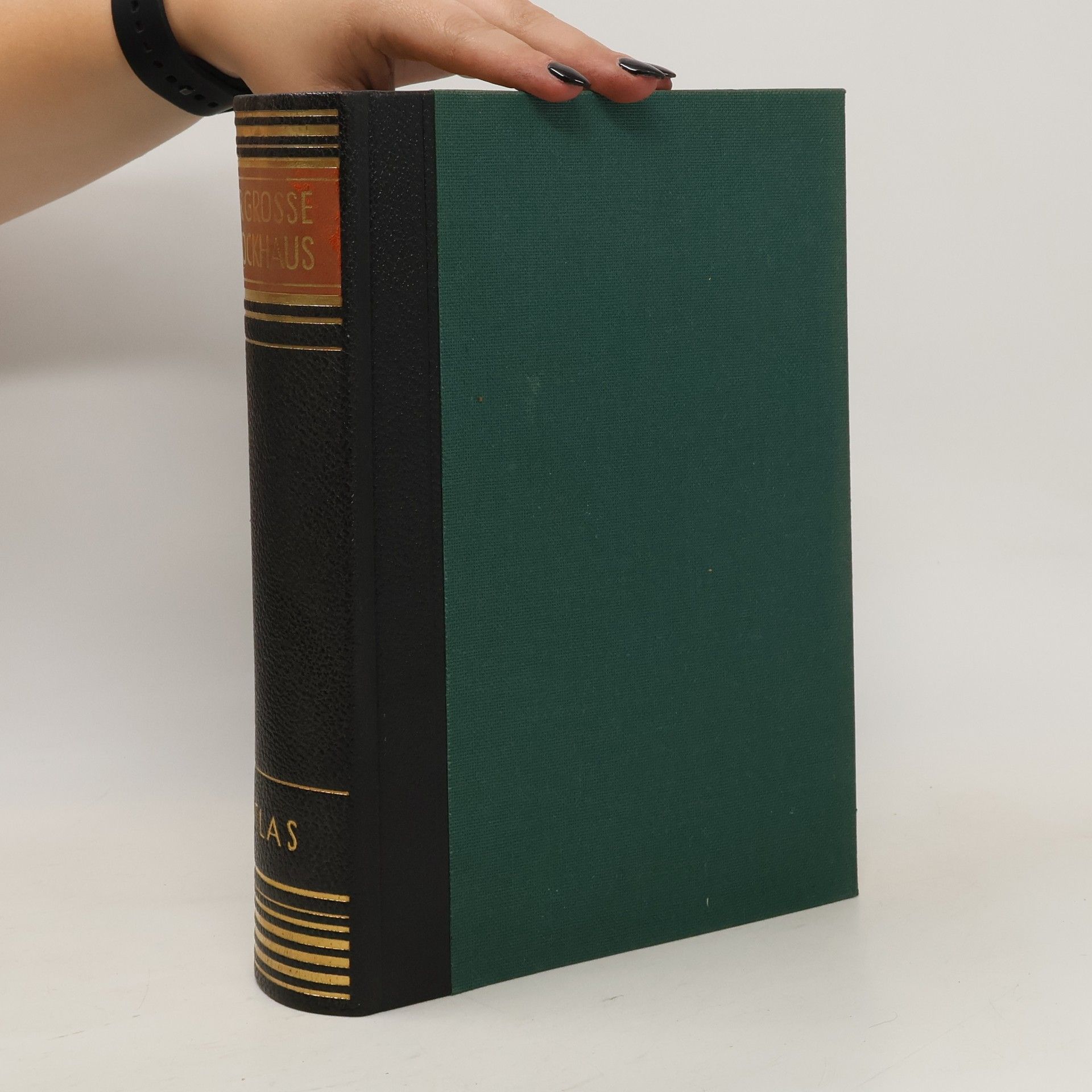 Collective Der Grosse Brockhaus Atlas