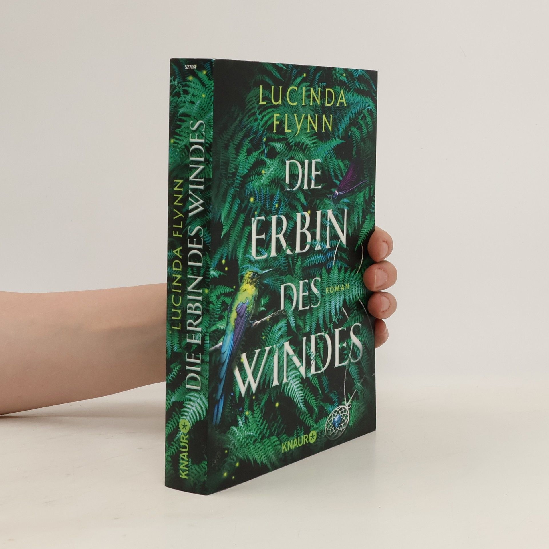 Lucinda Flynn Die Erbin des Windes