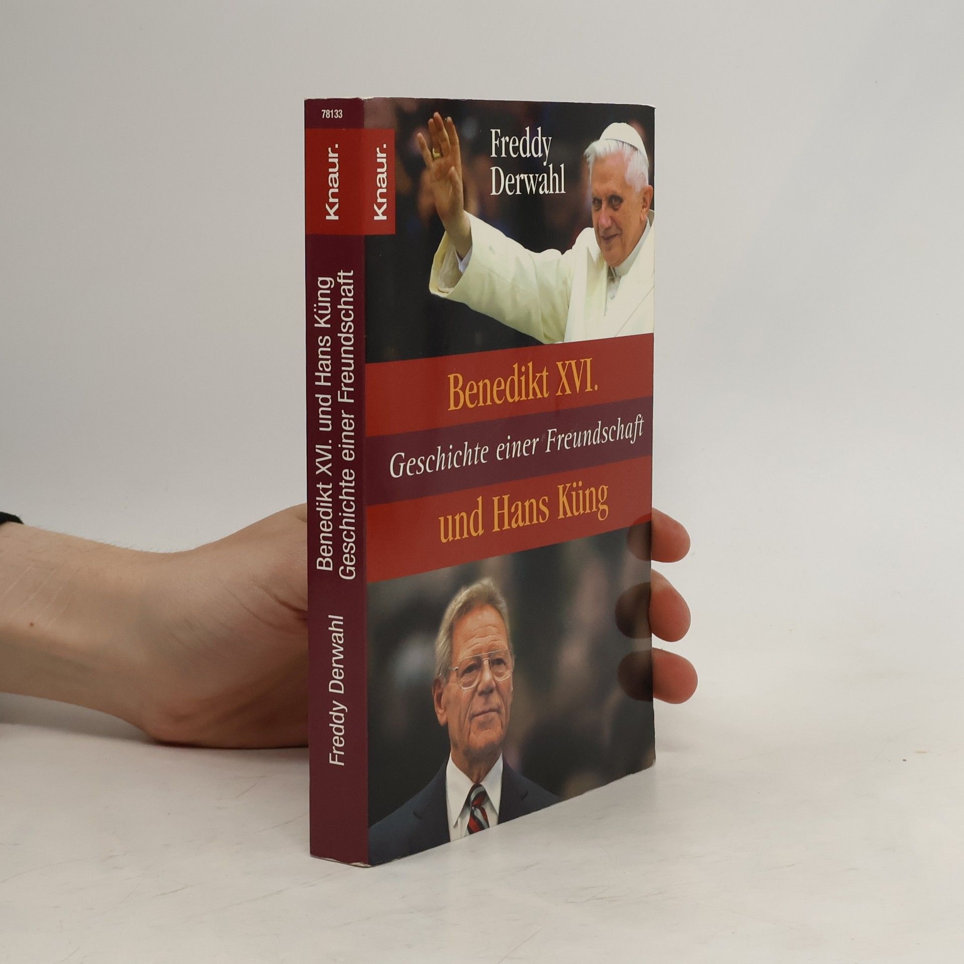 Freddy Derwahl Benedikt XVI. und Hans Küng