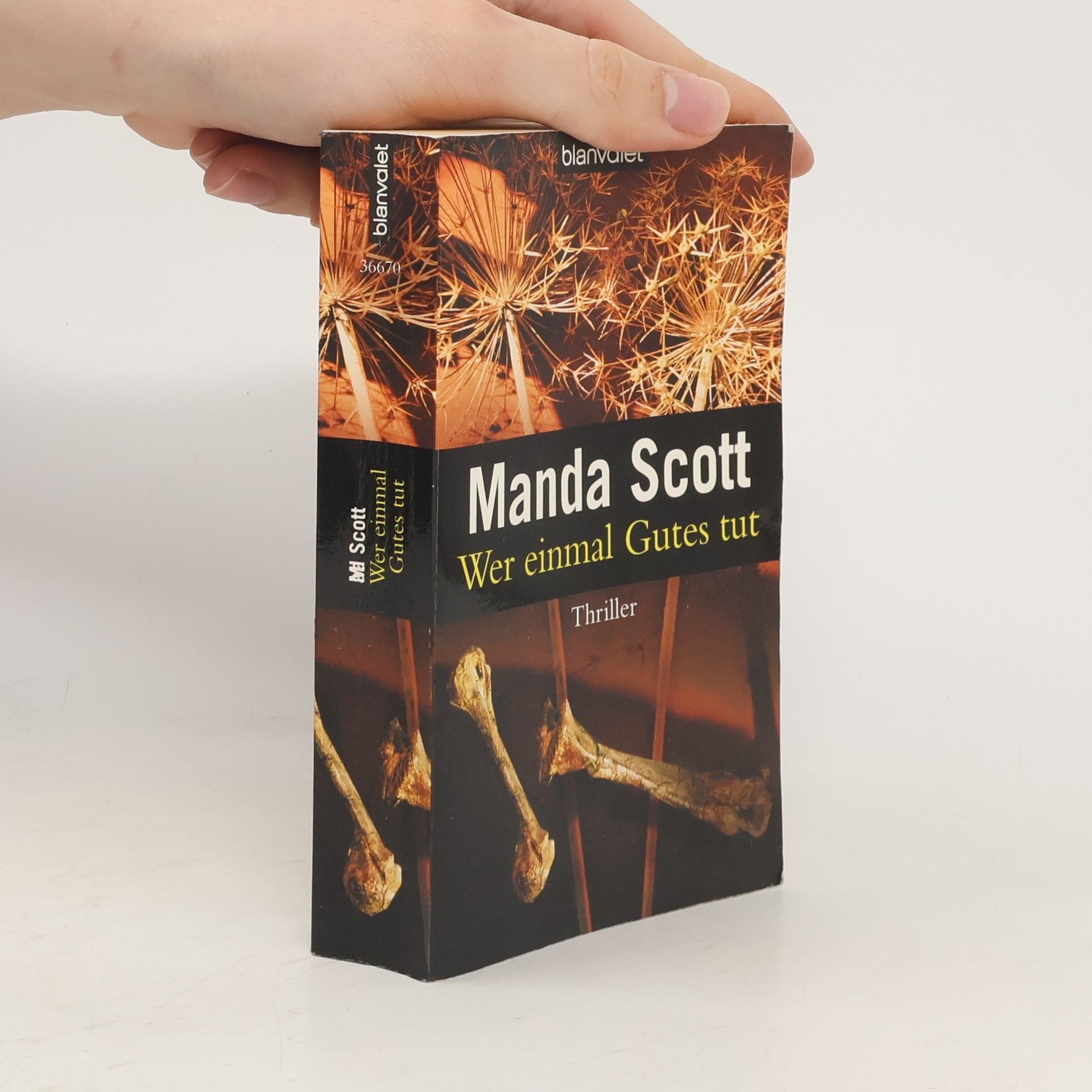 Manda Scott Wer einmal Gutes tut