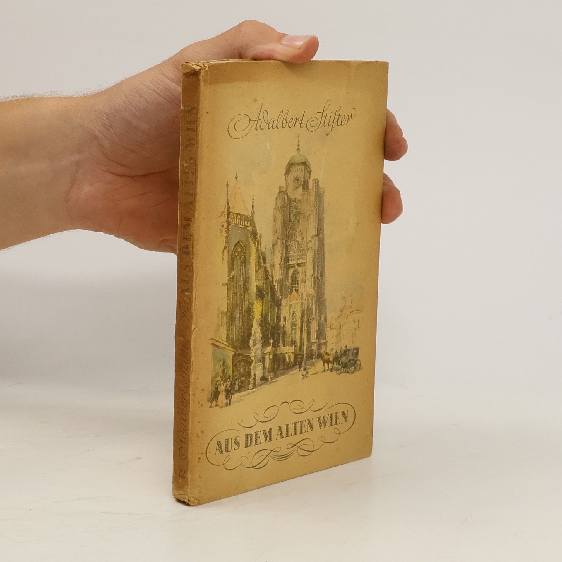 Adalbert Stifter Aus dem alten Wien