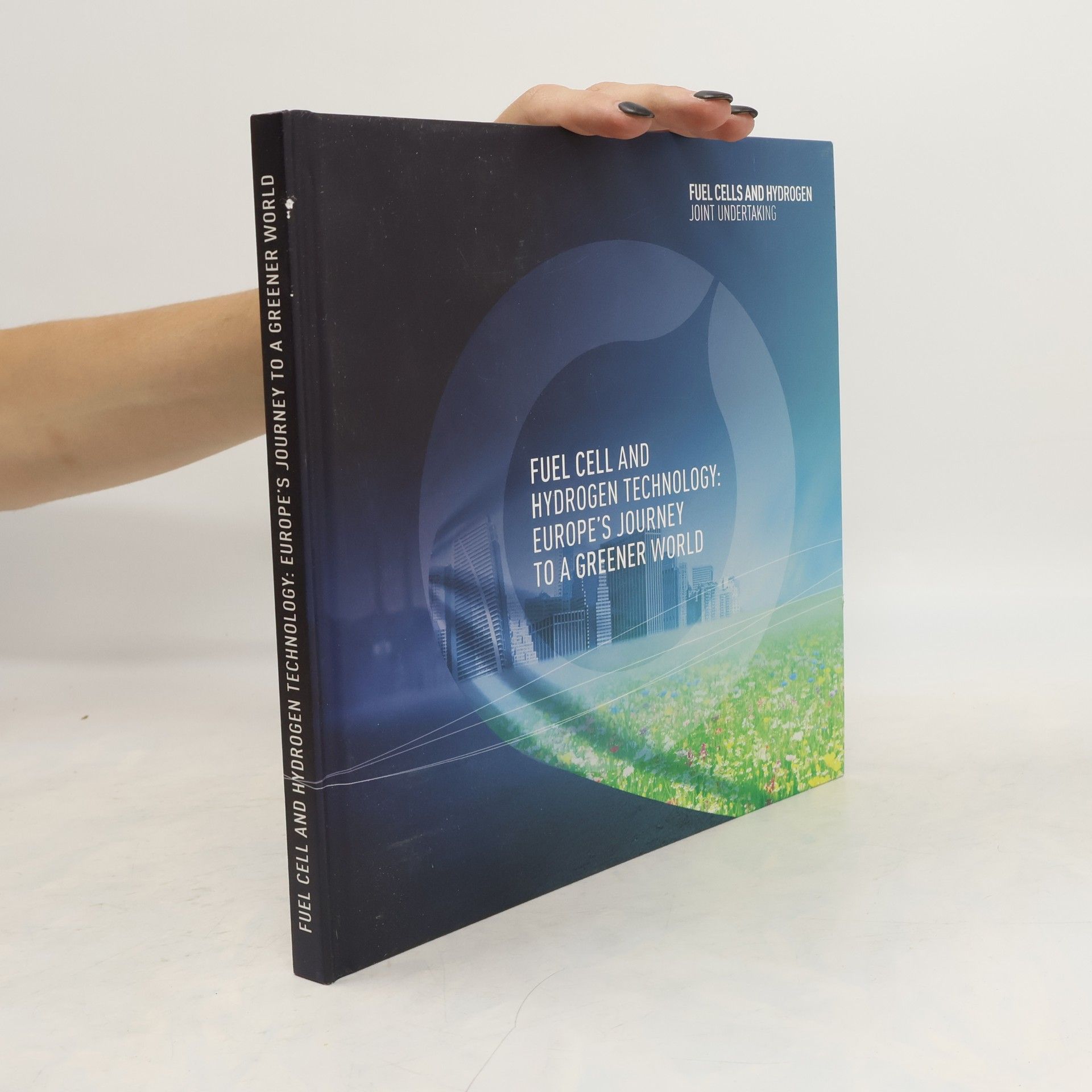 Collectif d'auteurs Fuel Cell and Hydrogen Technology: Europe´s Journey to a Greener World