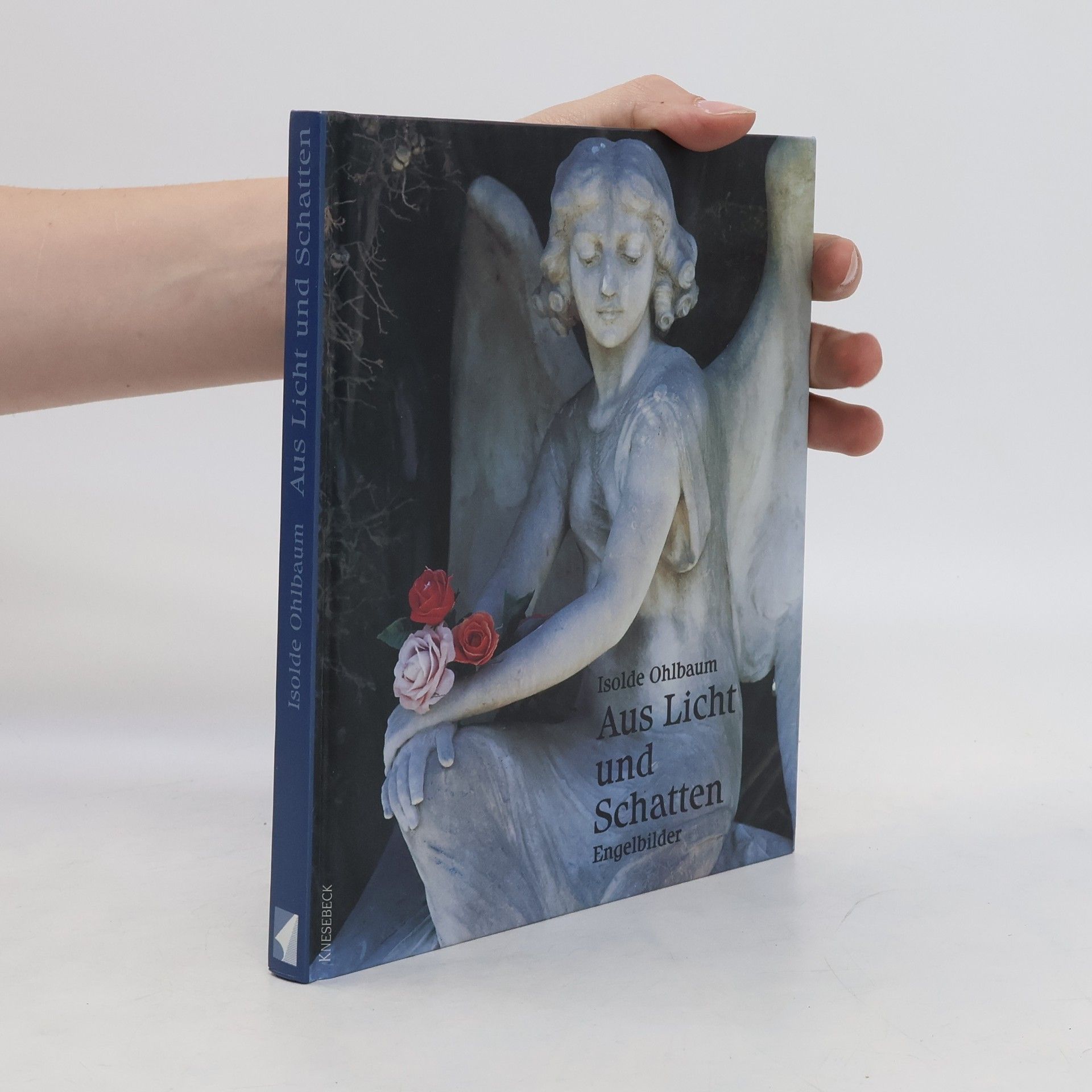 Isolde Ohlbaum Aus Licht und Schatten
