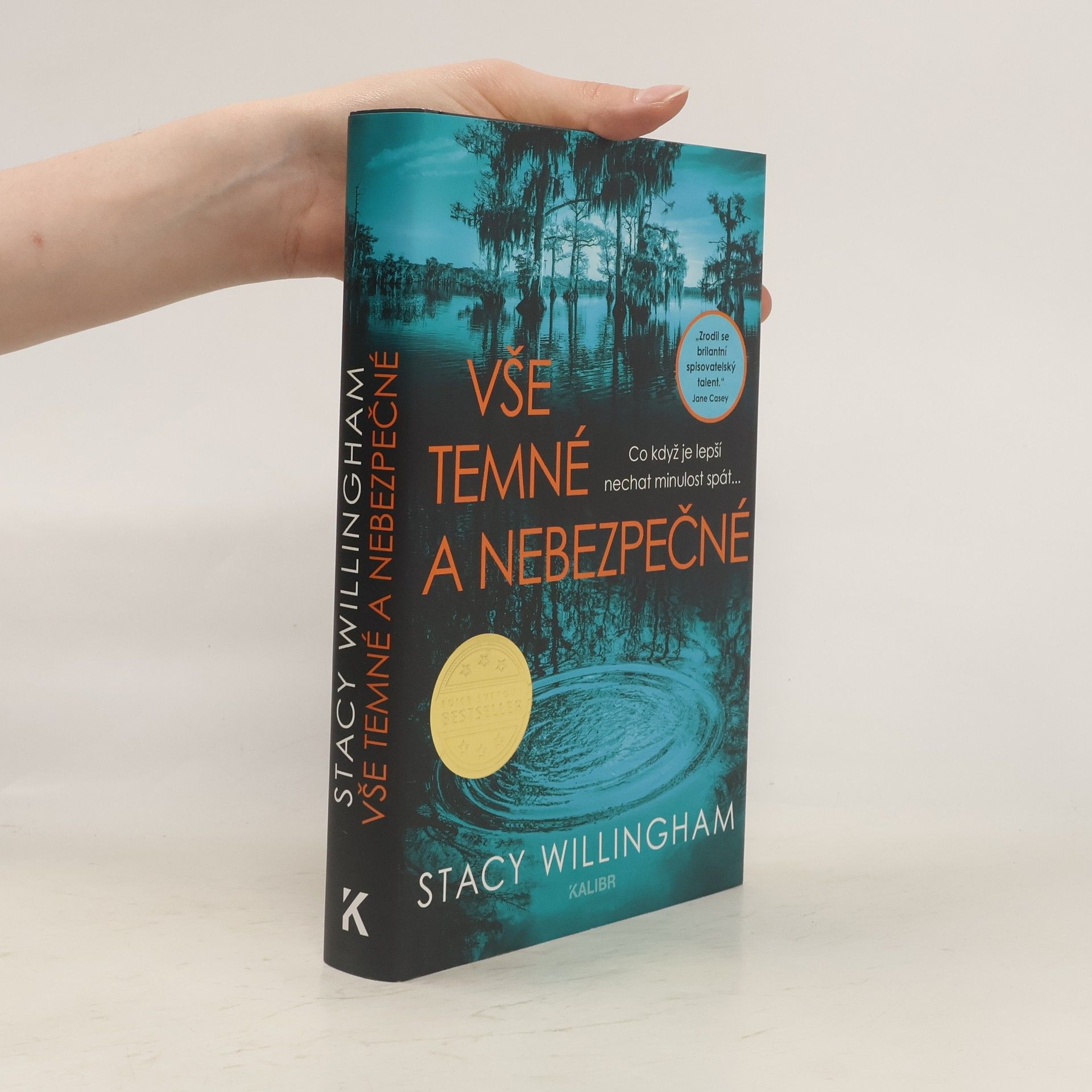 Stacy Willingham Vše temné a nebezpečné