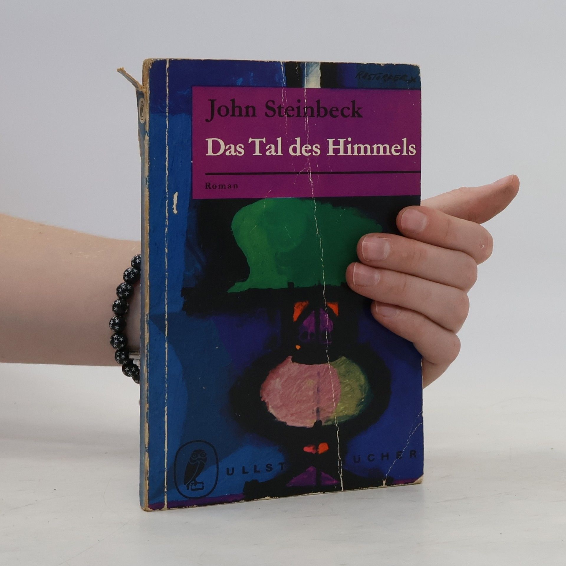 John Steinbeck Ds Tal des Himmels