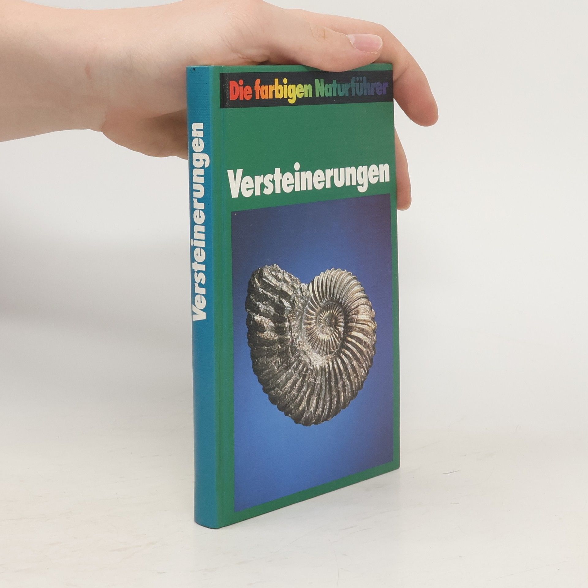 Autorenkollektiv Versteinerungen