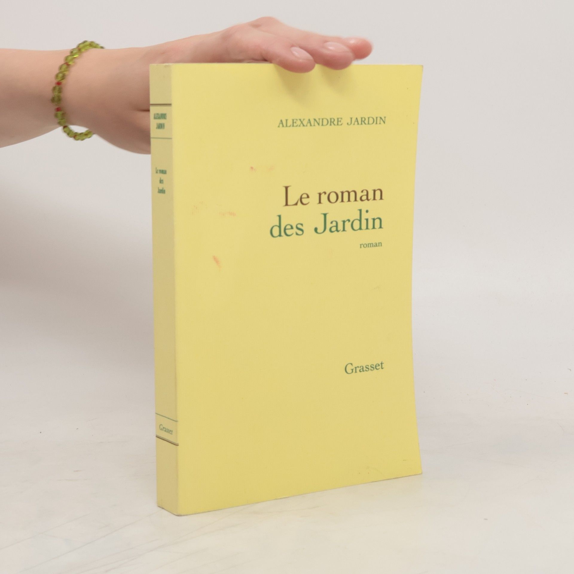 Alexandre Jardin Le roman des Jardin