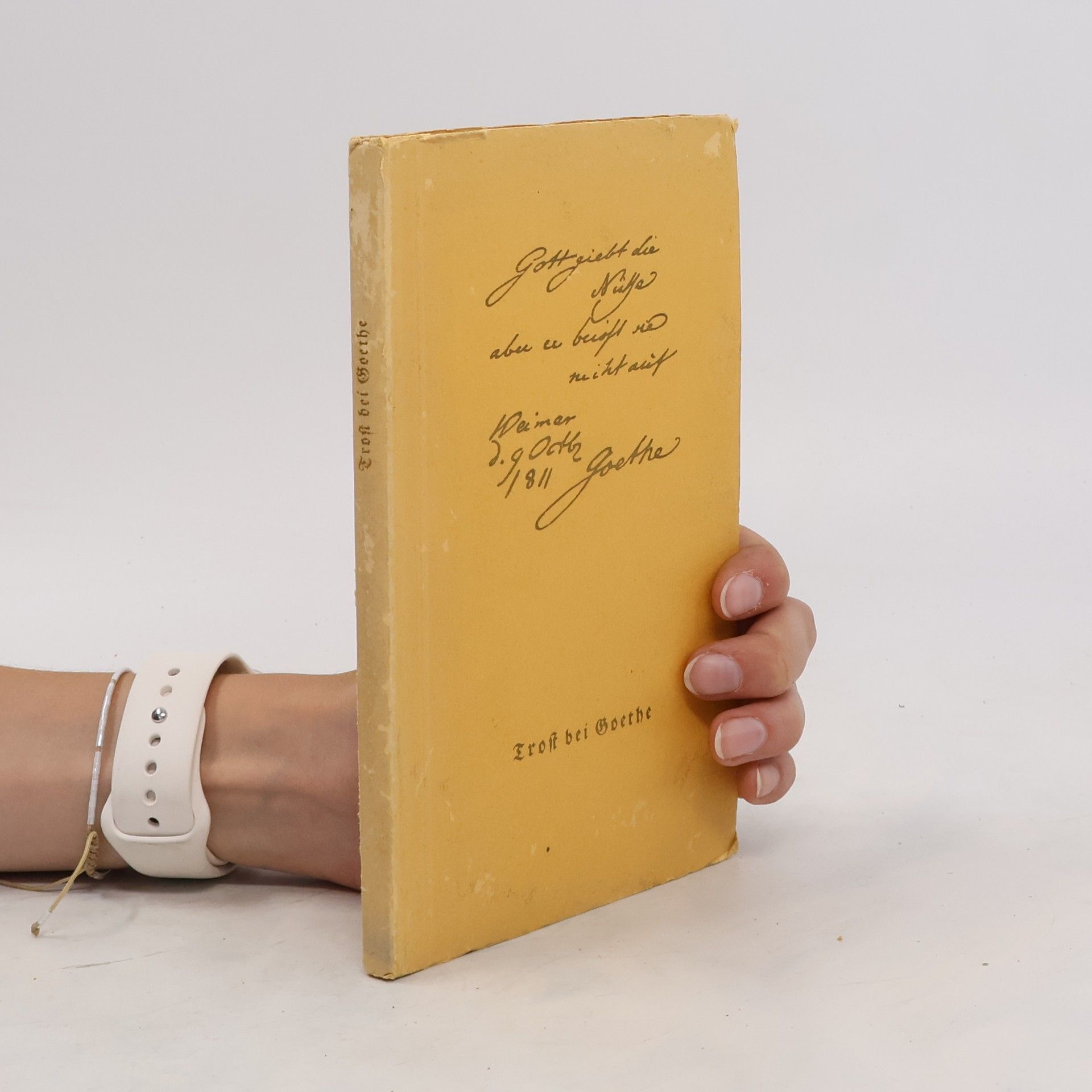 Johann Wolfgang von Goethe Trost bei Goethe