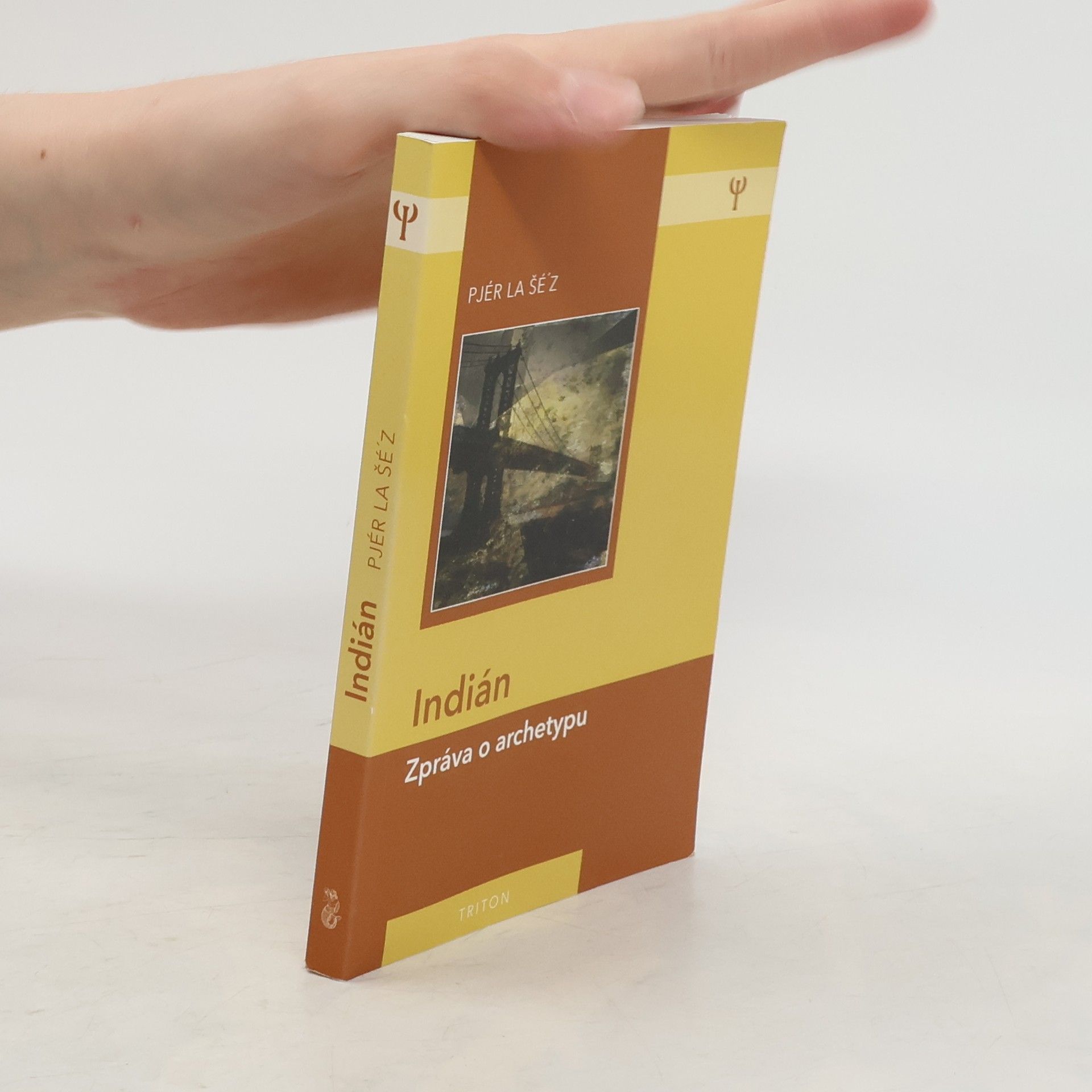 Pjér la Šéz Indián: Zpráva o archetypu