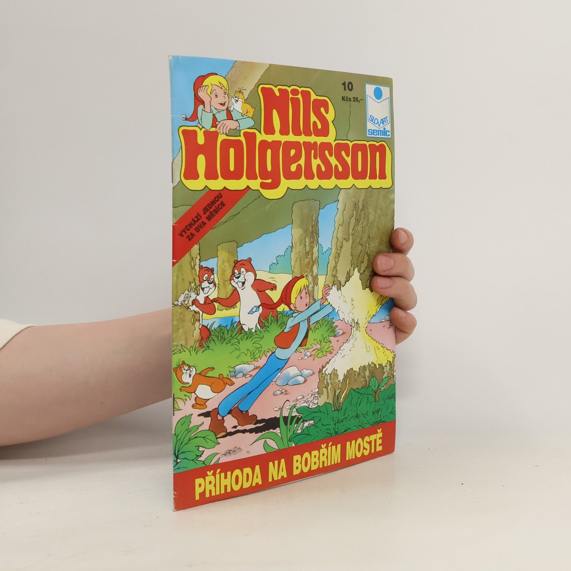 Autorenkollektiv Nils Holgersson #10
