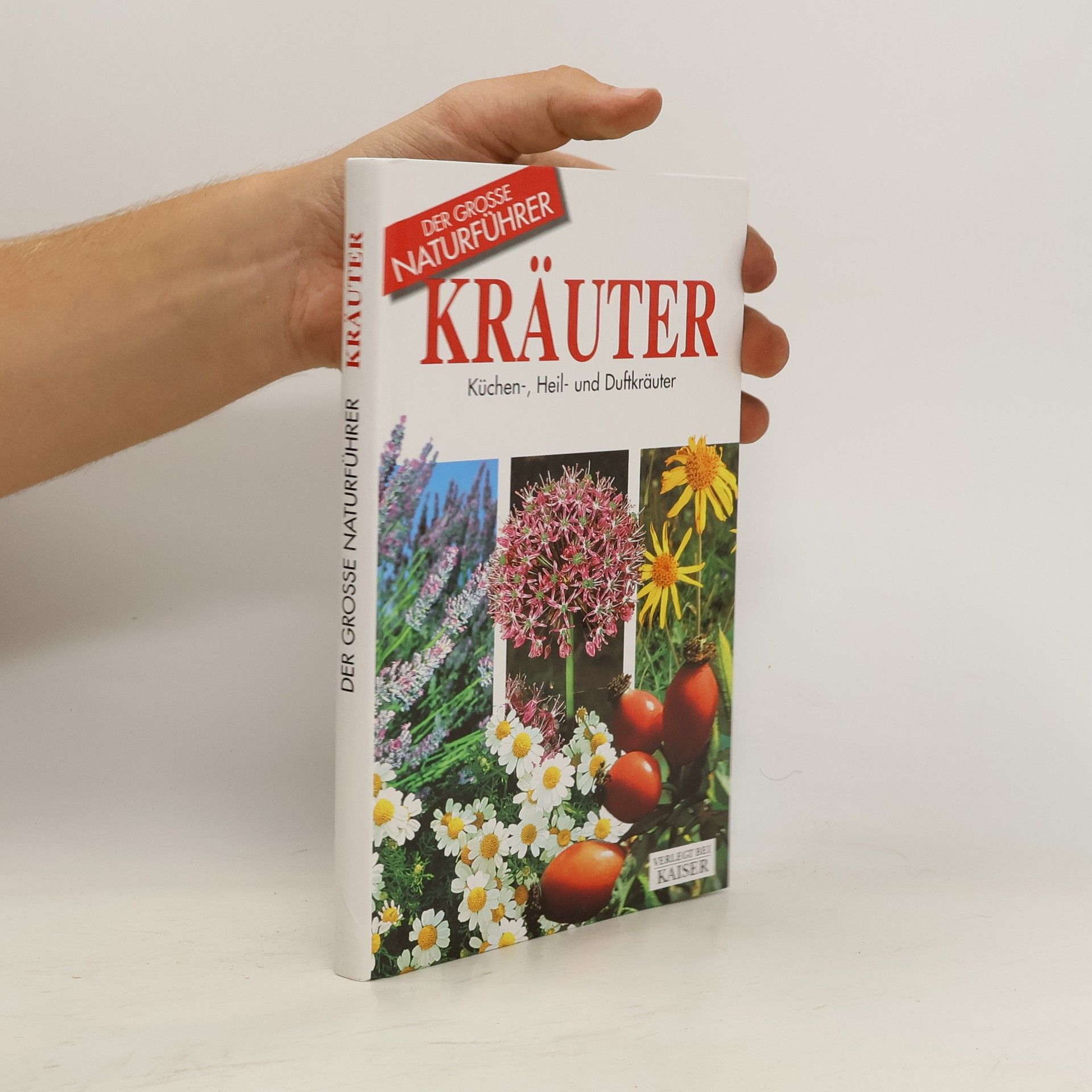 Maria Teresa Della Beffa Kräuter. Küchen-, Heil- und Duftkräuter
