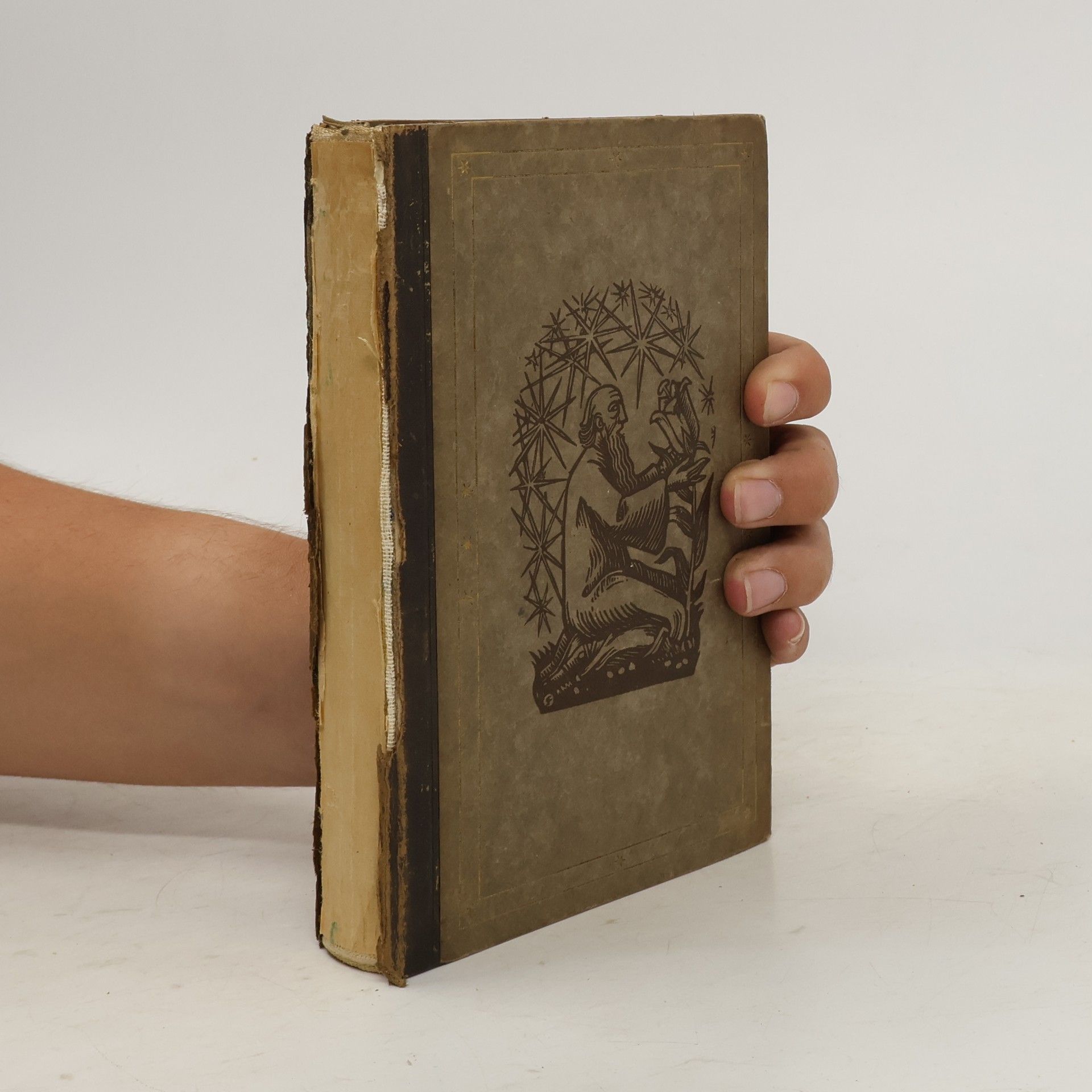 Waldemar Bonsels Der Wanderer zwischen Staub und Sternen
