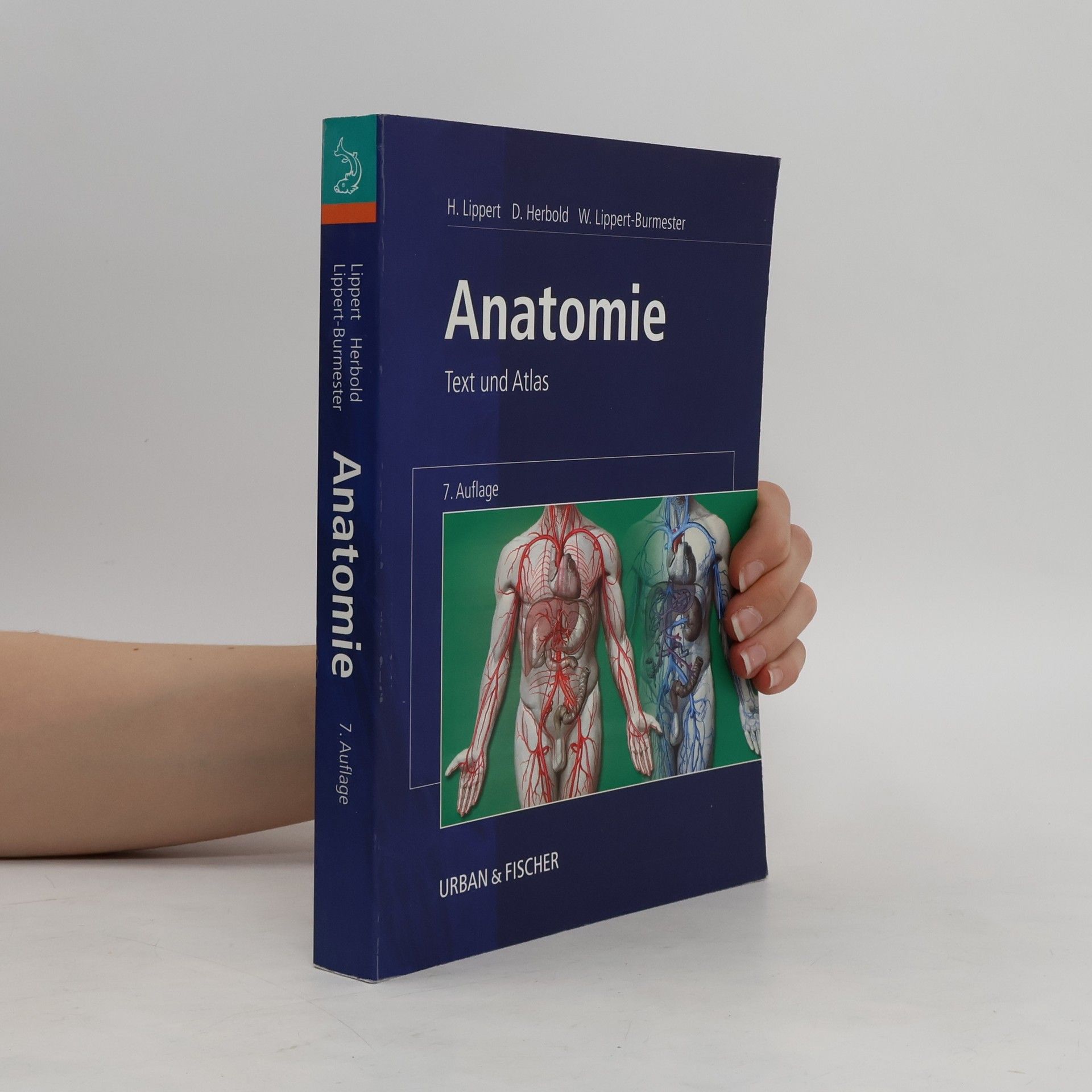 Herbert Lippert Anatomie