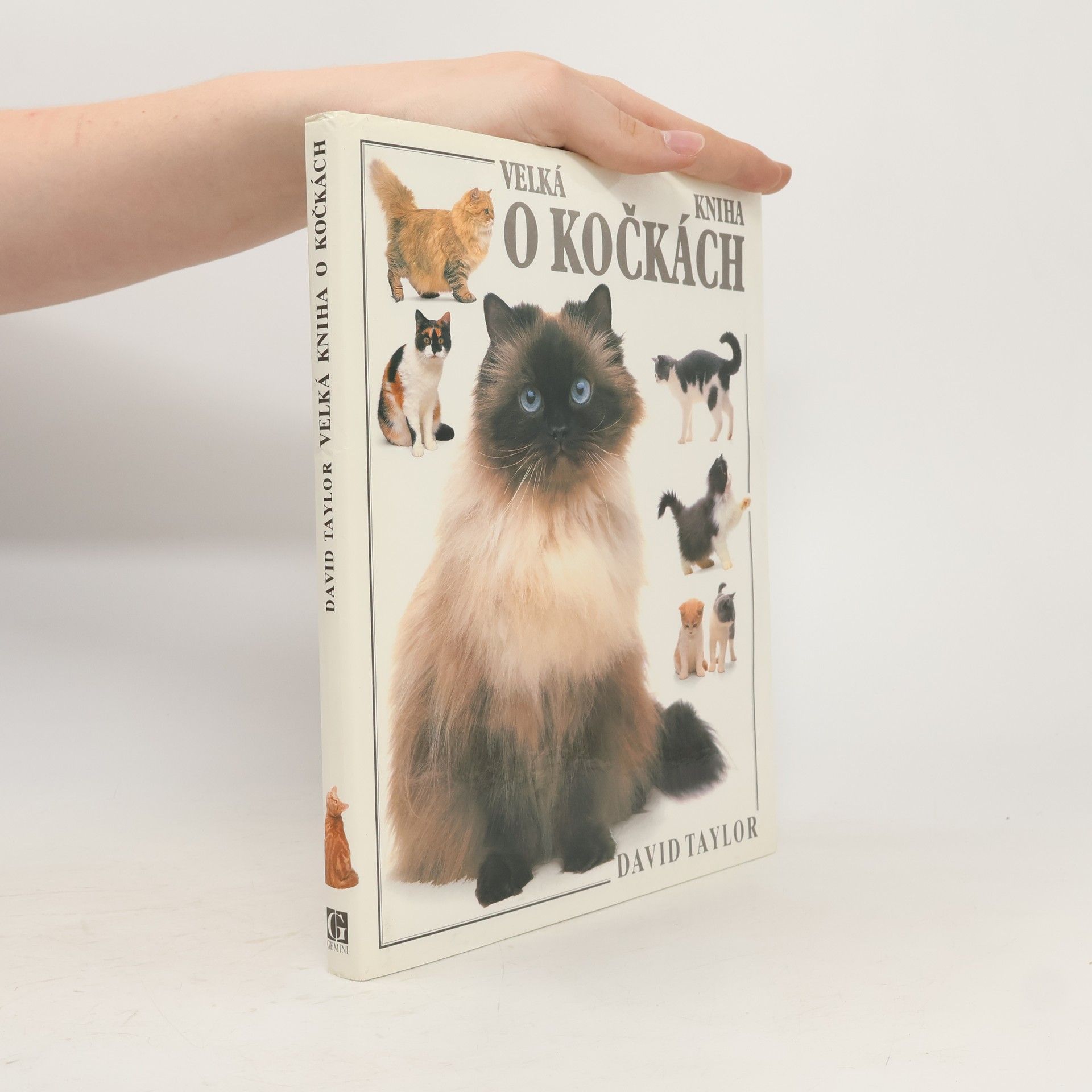 David Taylor Velká kniha o kočkách