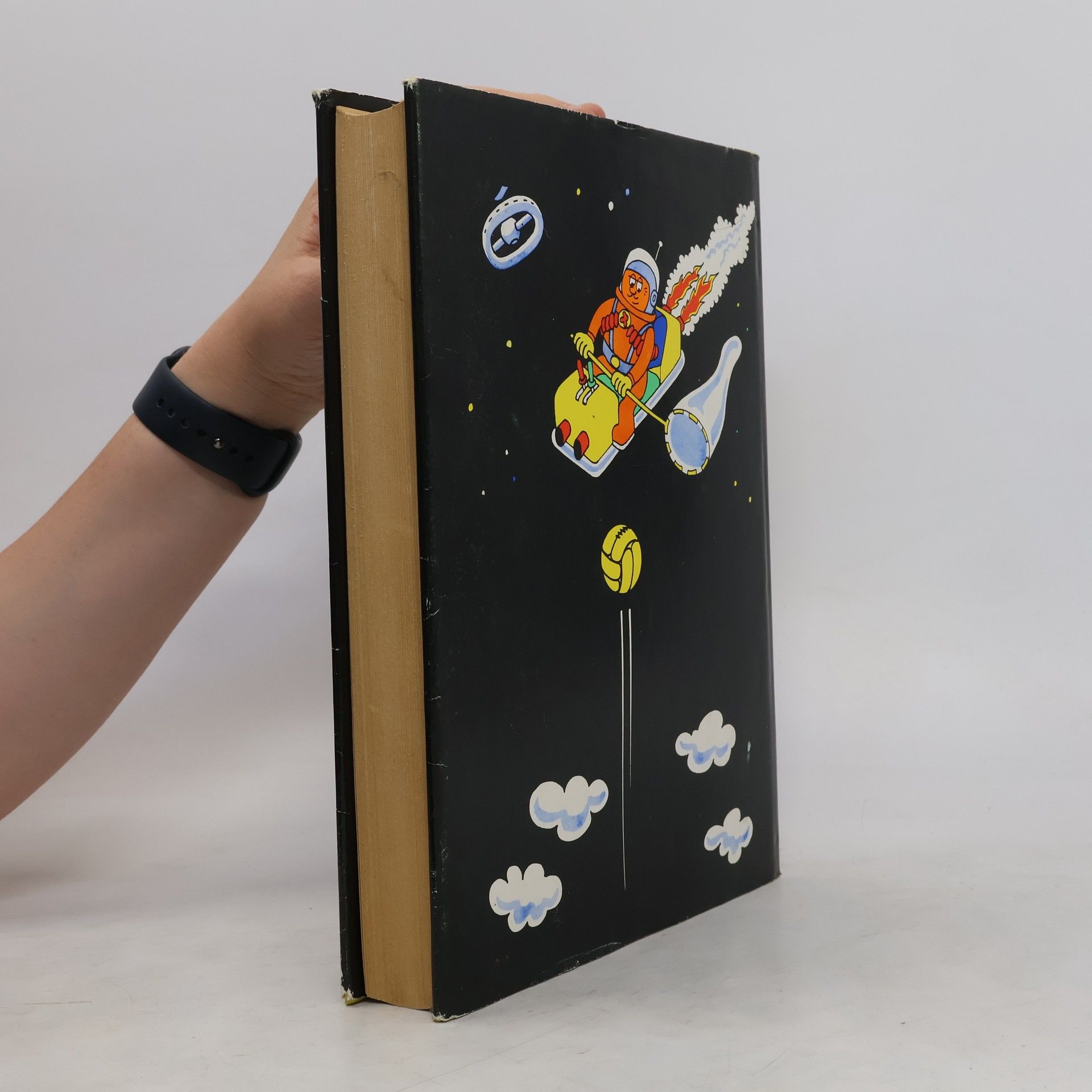 Autorenkollektiv Das dicke Schmitt-Buch