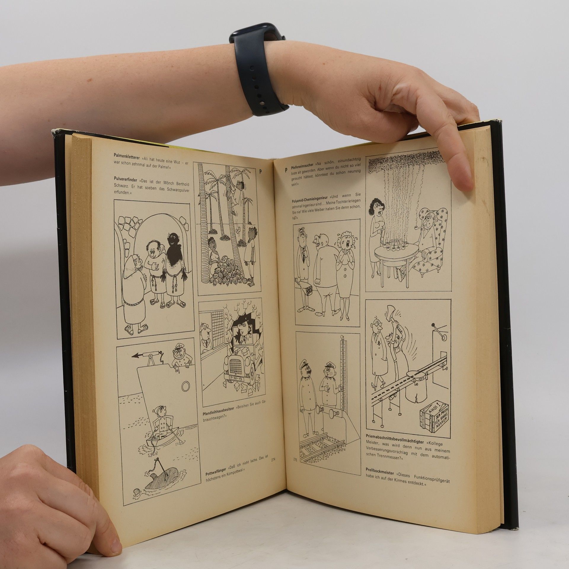 Autorenkollektiv Das dicke Schmitt-Buch