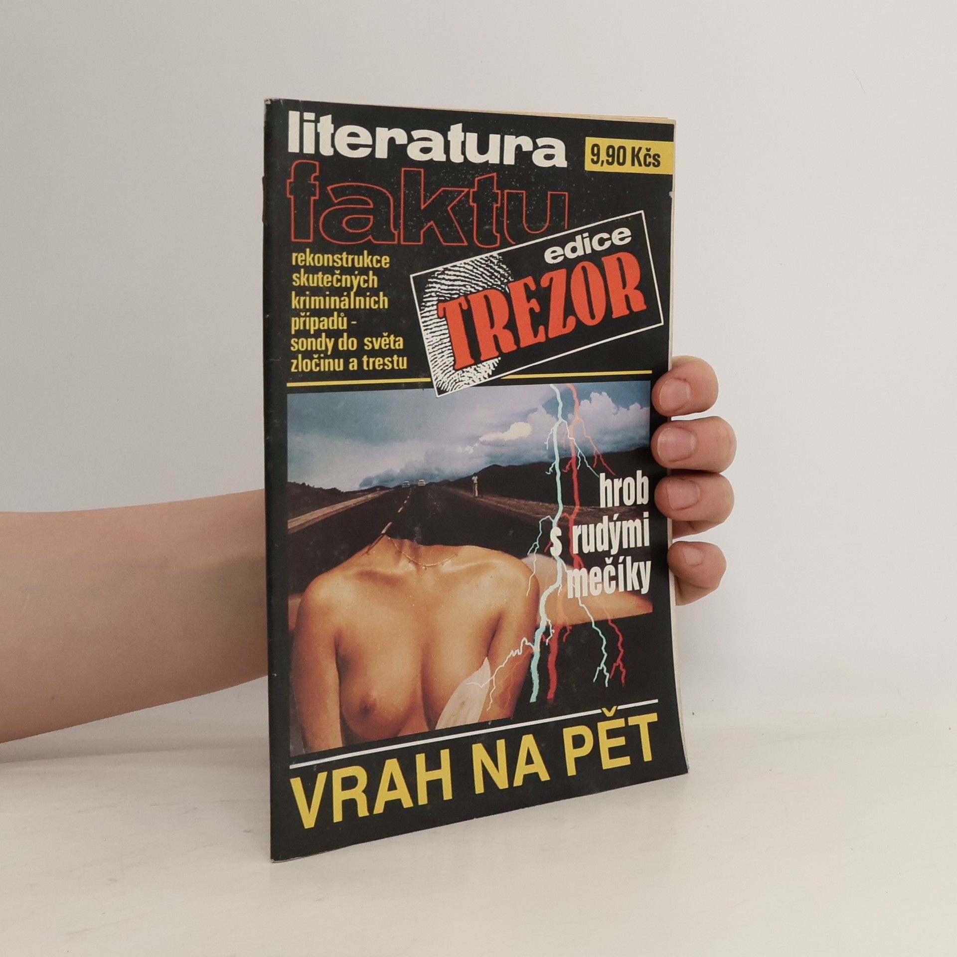 Pavlík Karel Vrah na pět - Hrob s rudými mečíky - Řešení