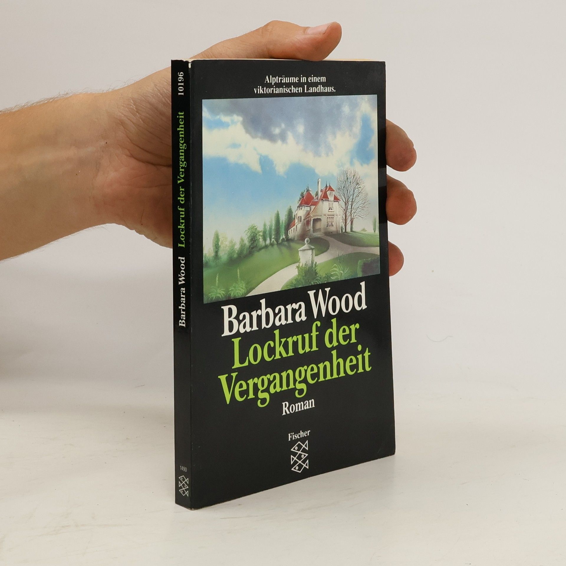 Barbara Wood Lockruf der Vergangenheit
