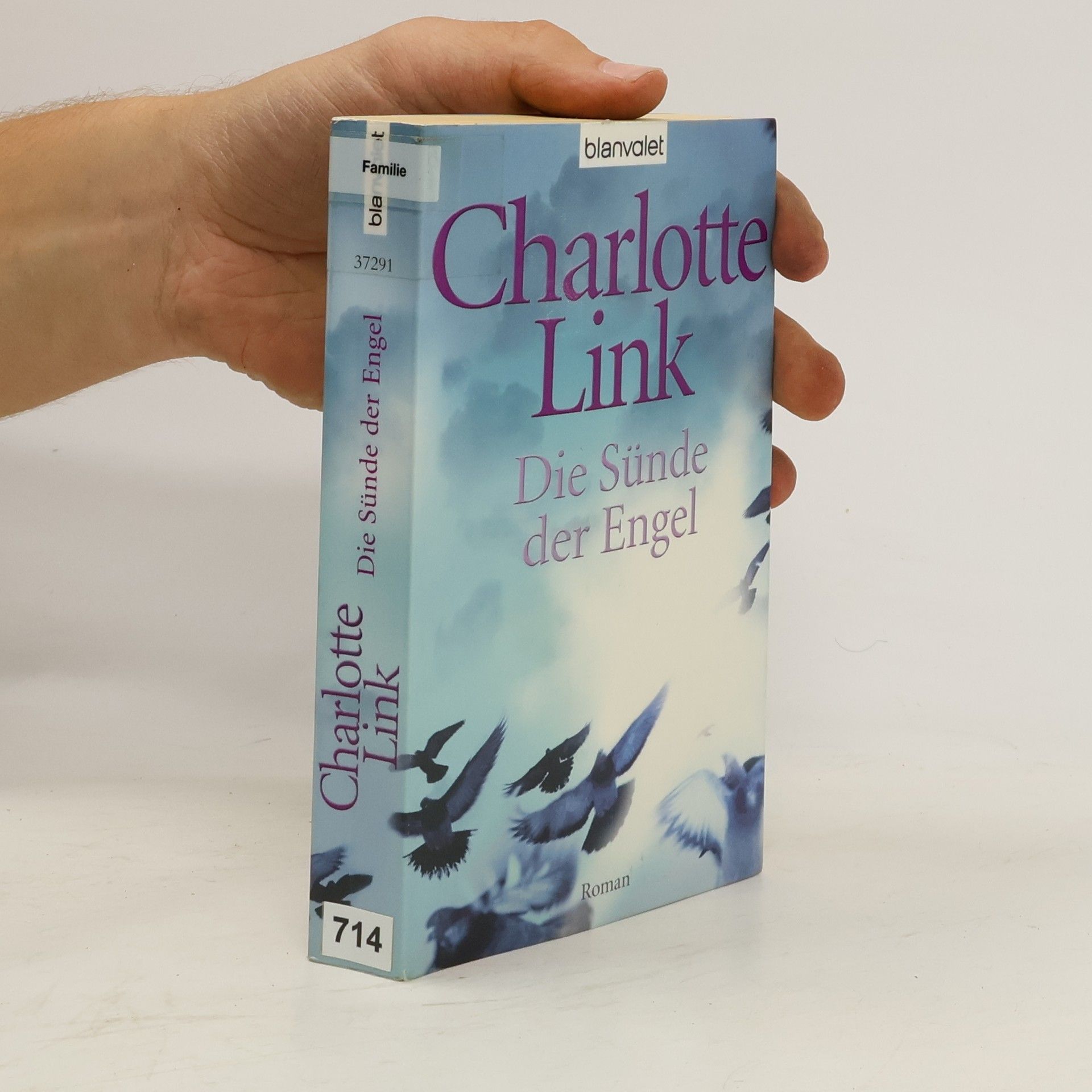 Charlotte Link Die Sünde der Engel