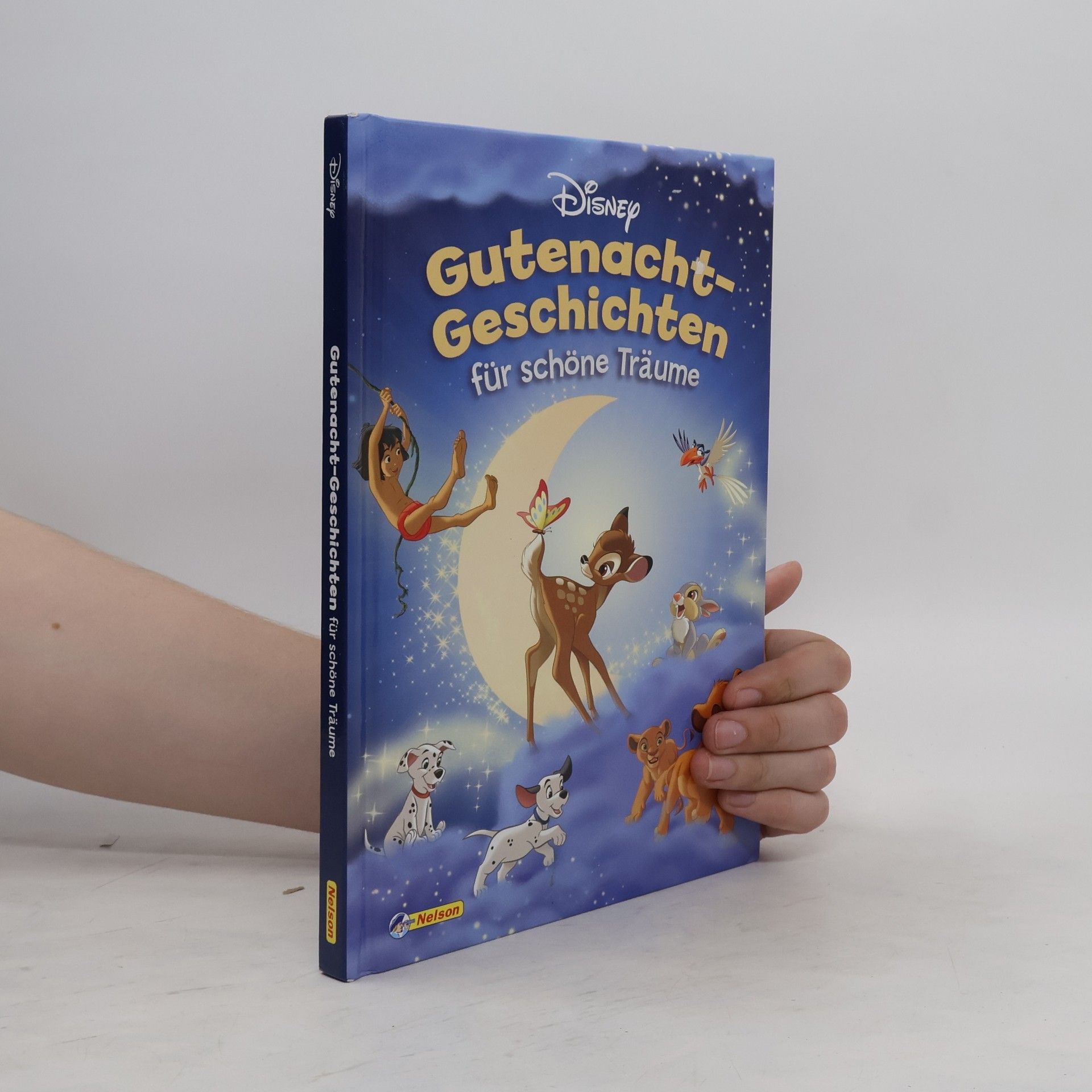 Walt Disney Gutenacht-Geschichten für schöne Träume