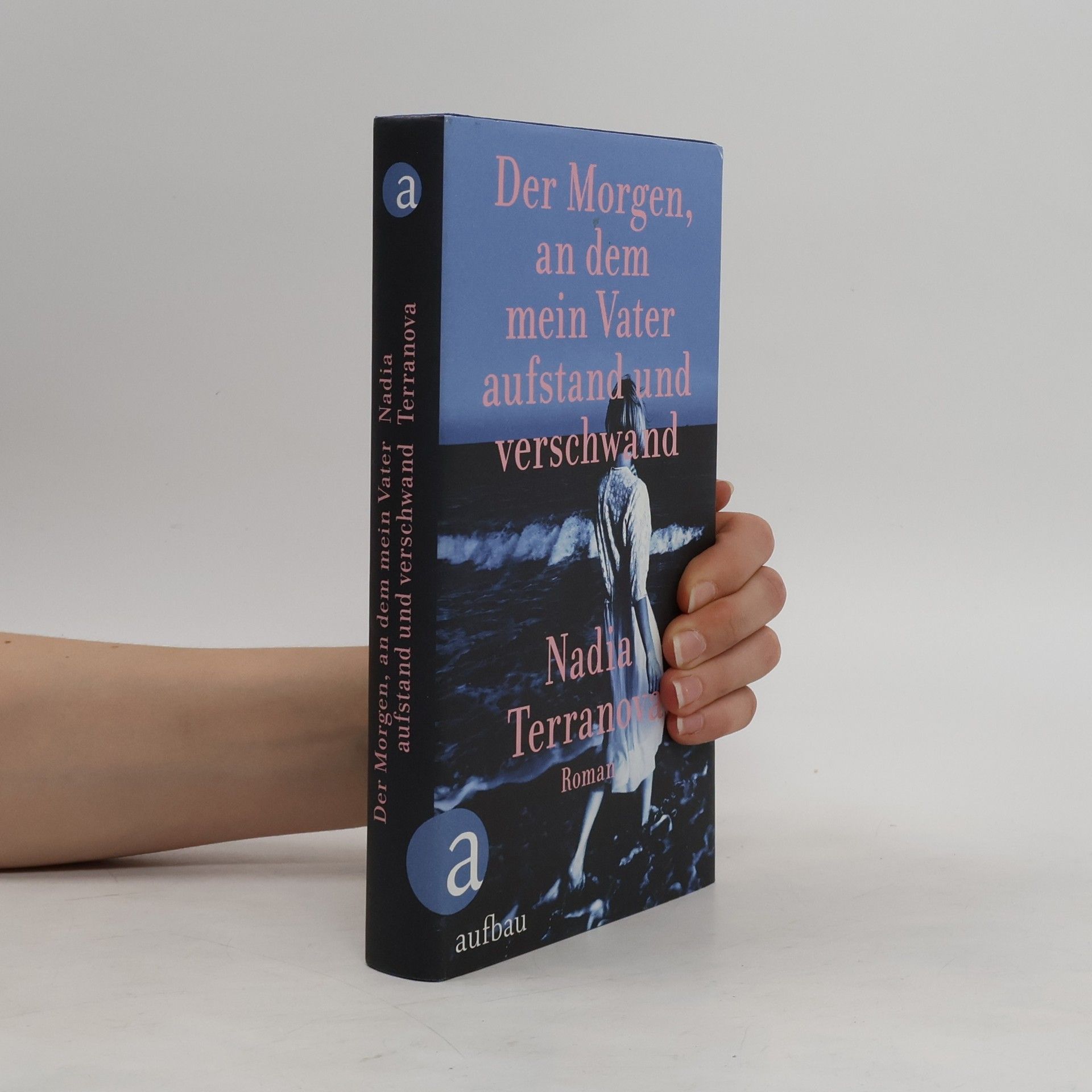 Nadia Terranova Der Morgen, an dem mein Vater aufstand und verschwand
