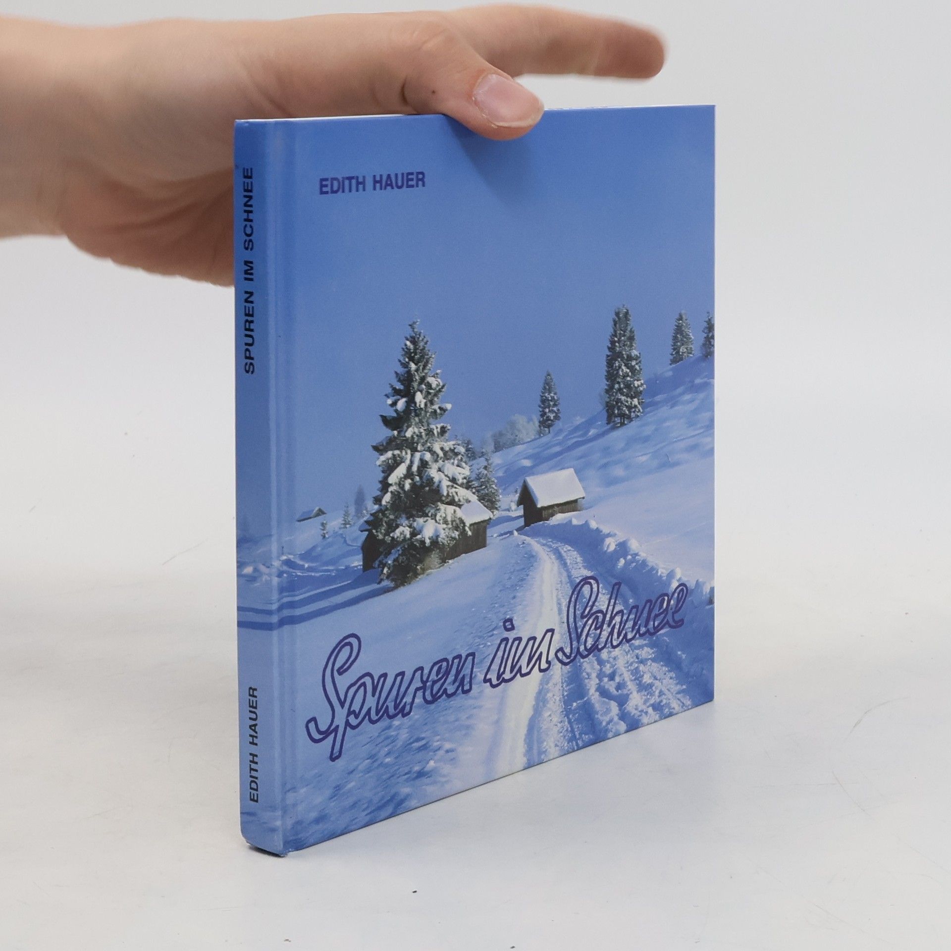 Edith Hauer Spuren im Schnee