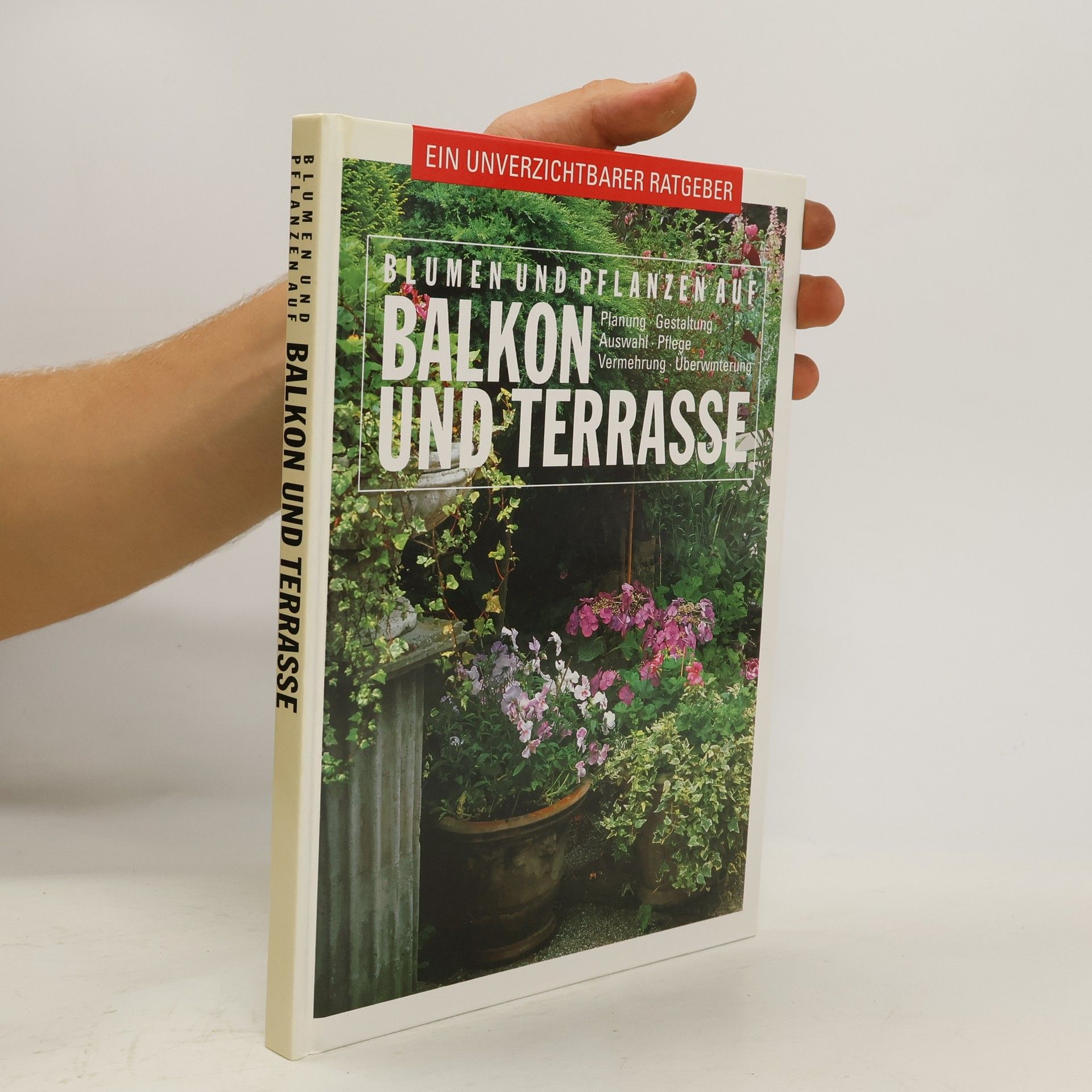 kolektiv Blumen und Pflanzen auf Balkon und Terrasse