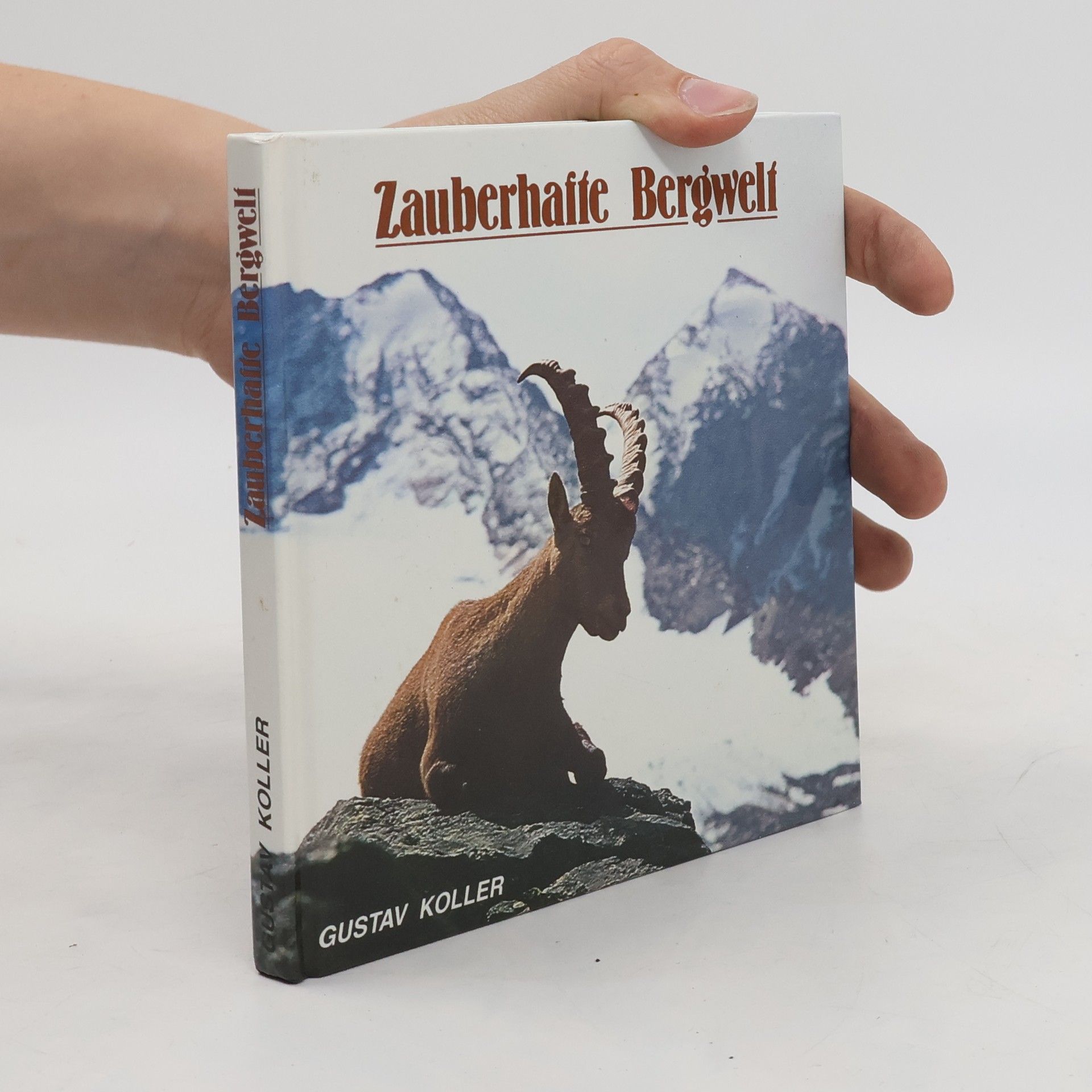 Gustav Koller Zauberhafte Bergwelt