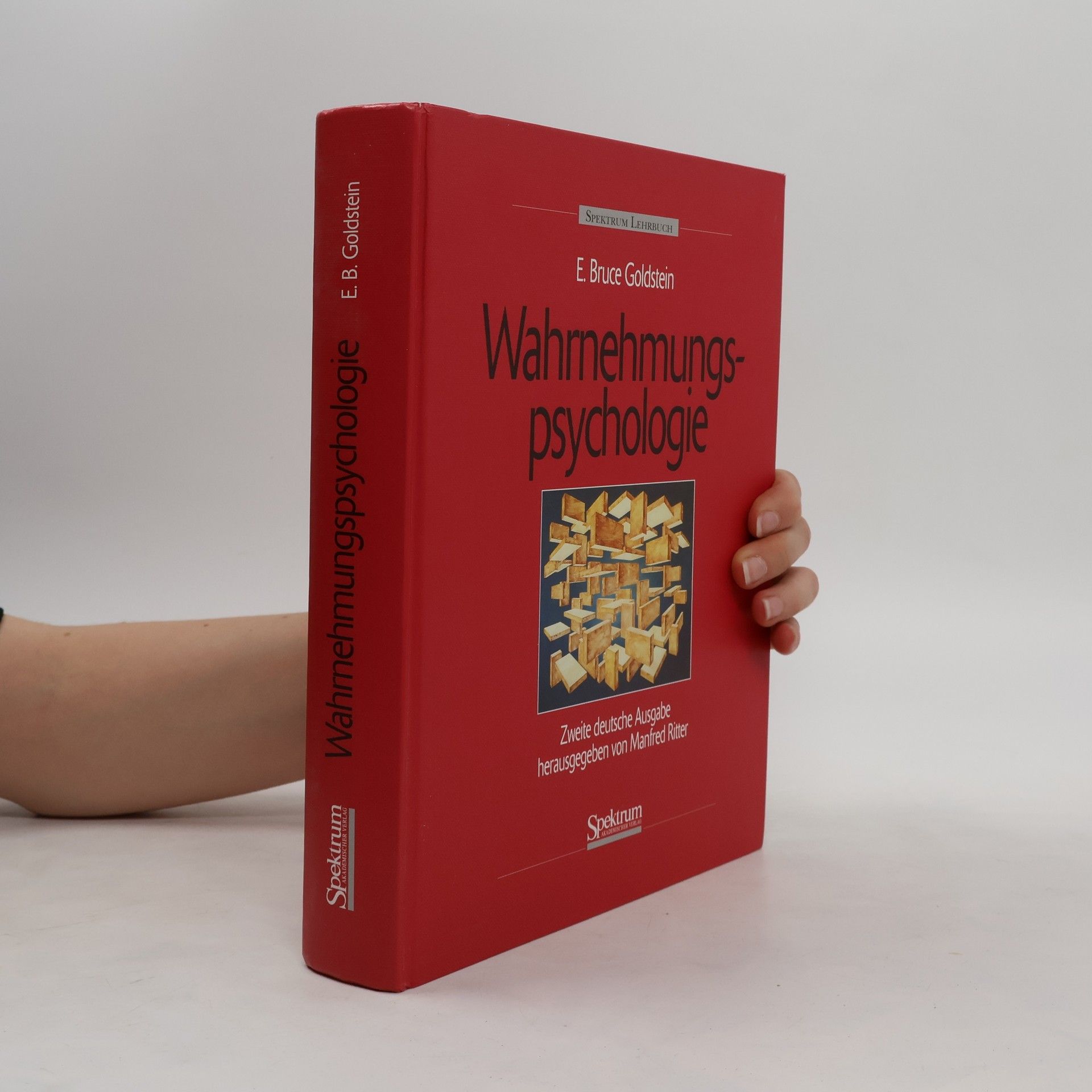 E. Bruce Goldstein Wahrnehmungspsychologie