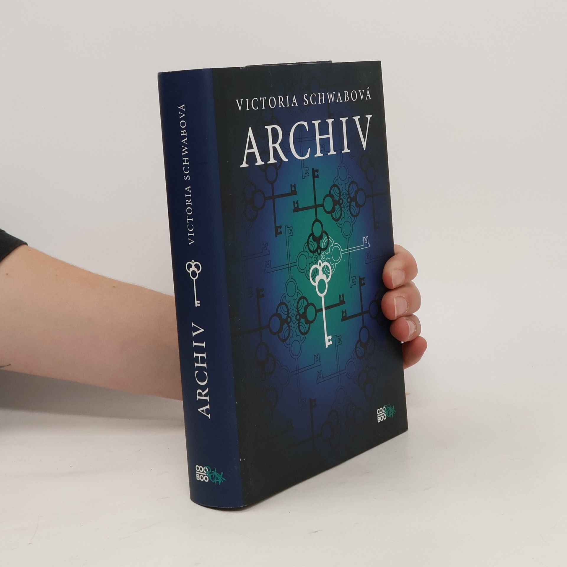 V. E. Schwab Archiv