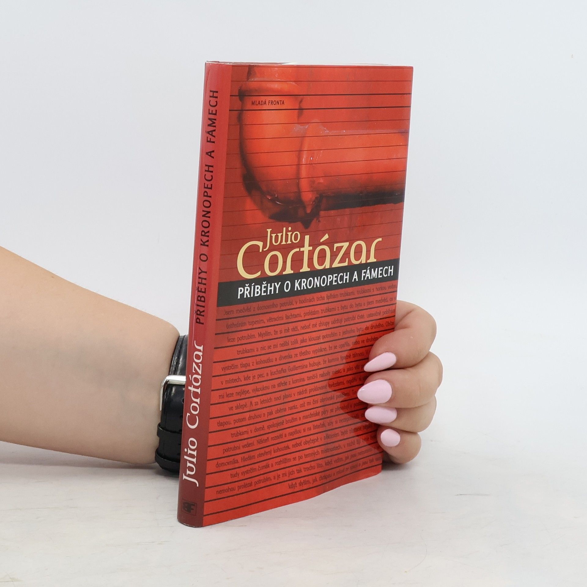Julio Cortázar Příběhy o kronopech a fámech